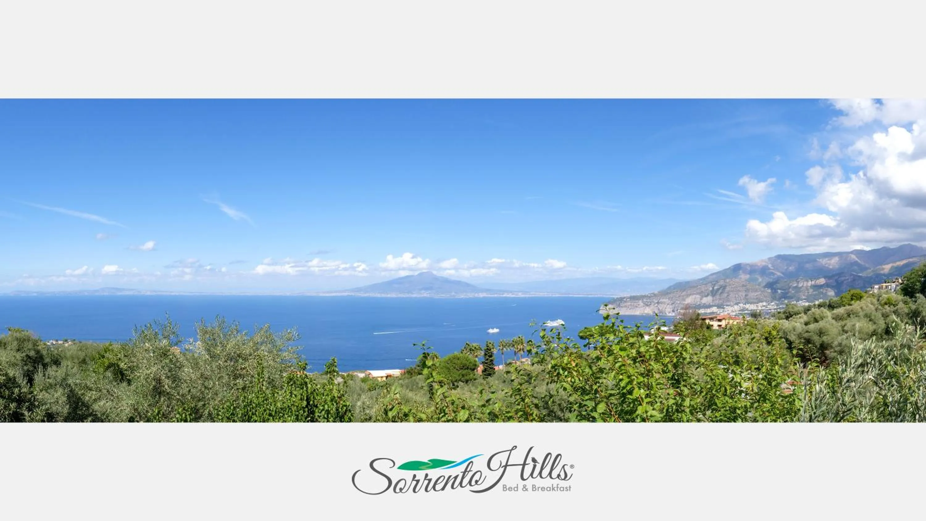 Natural landscape in Sorrento Hills