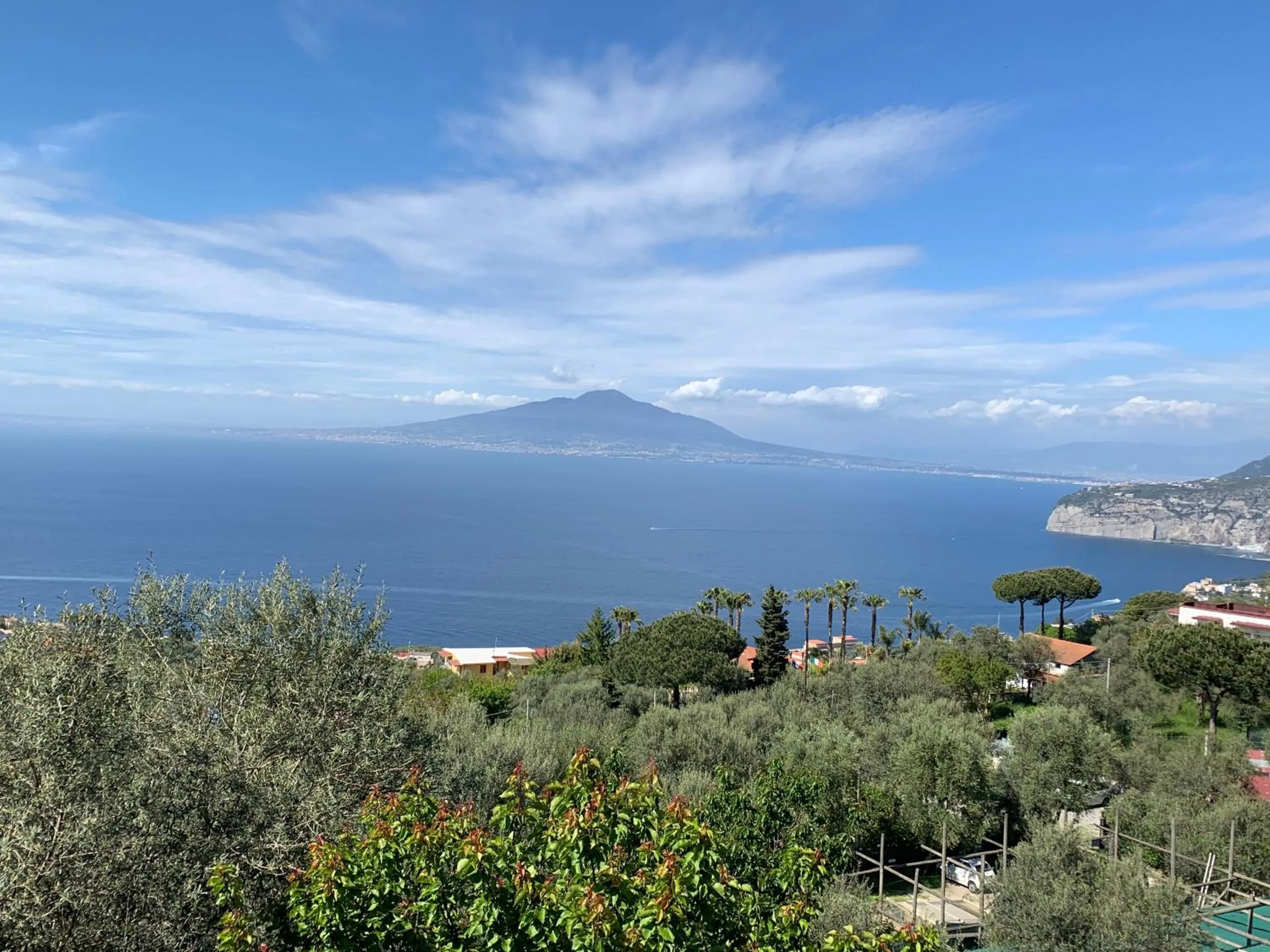 Natural landscape in Sorrento Hills