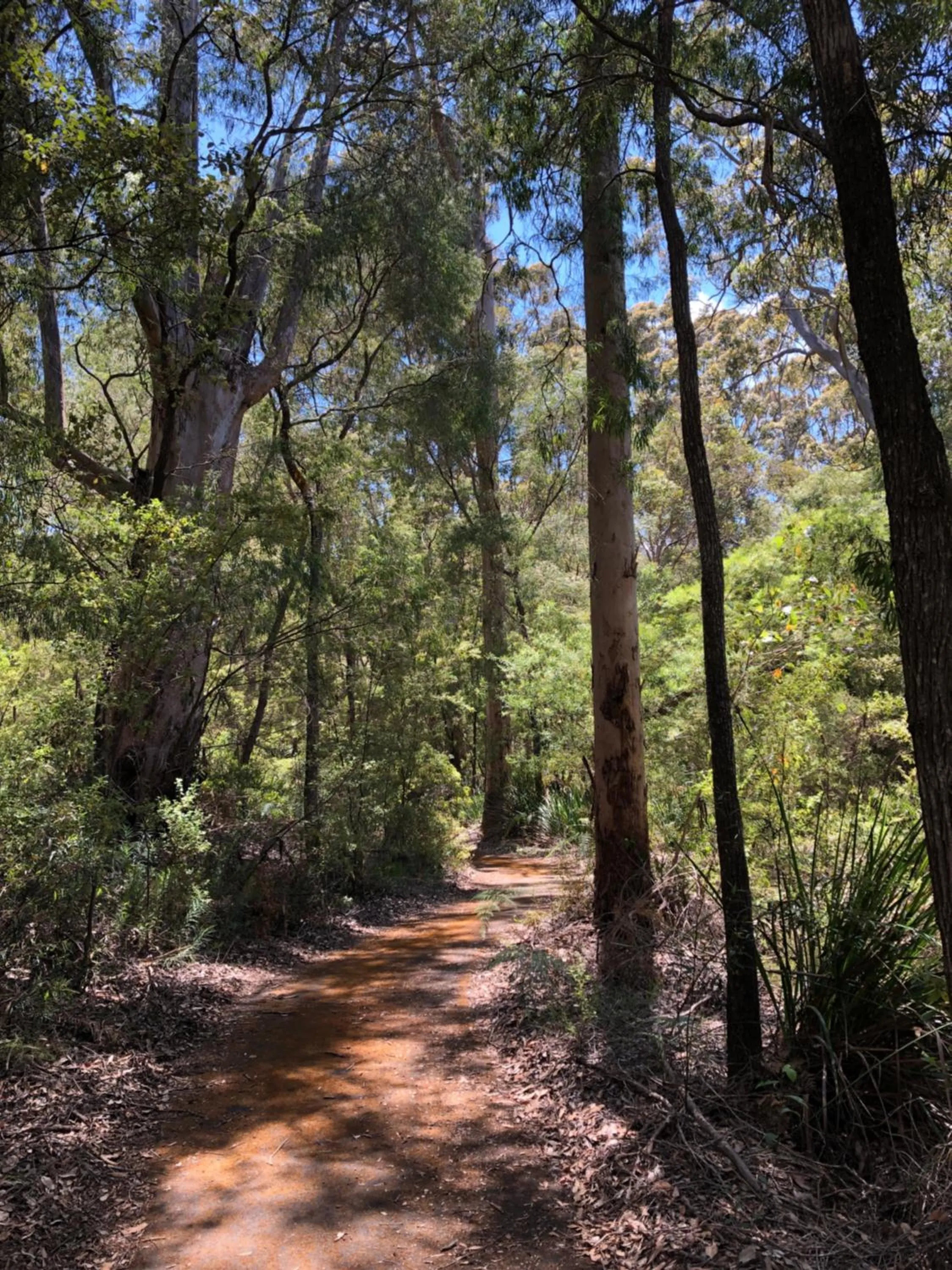 Natural landscape in Tanah Marah