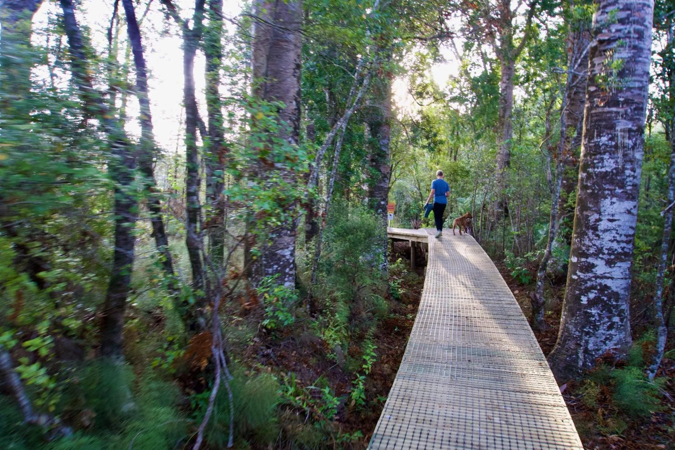 Activities in Sapphire Springs Holiday Park and Thermal Pools