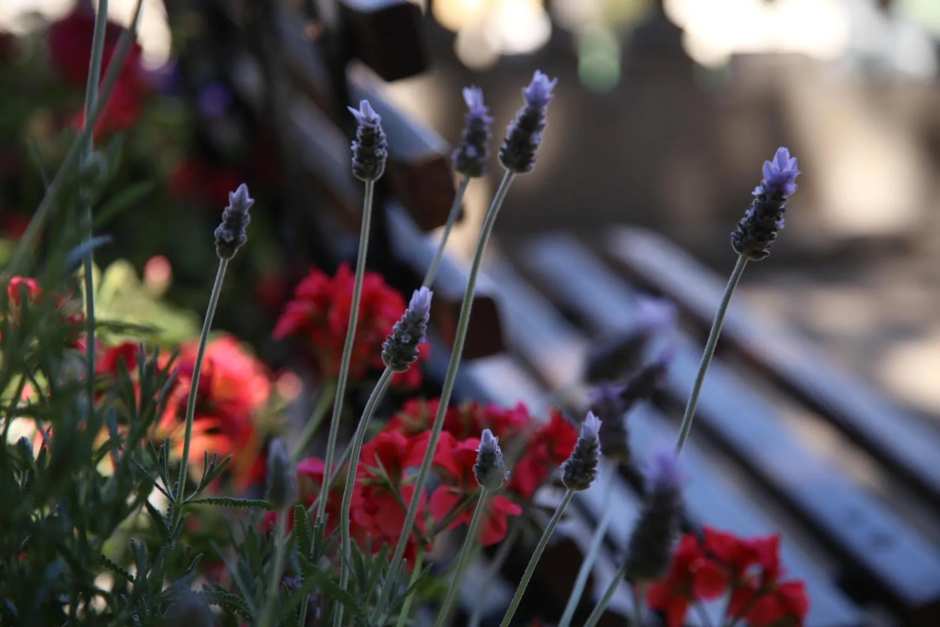 Property building in 180 Hotel Boutique