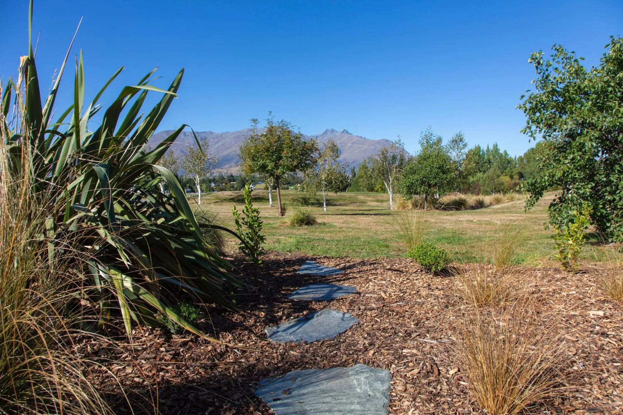 Garden in The Arrow Nest