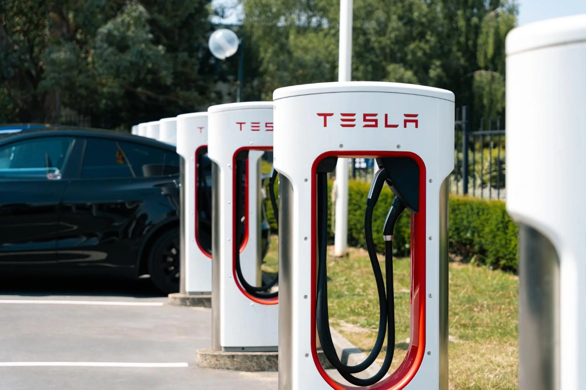 Entertainment in Westotel Nantes Atlantique