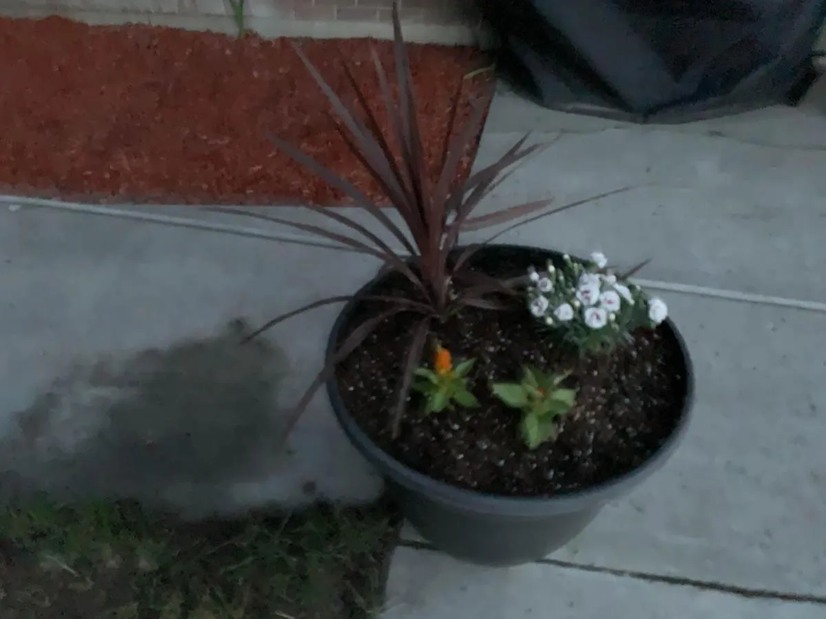 The Wing at Kingston East