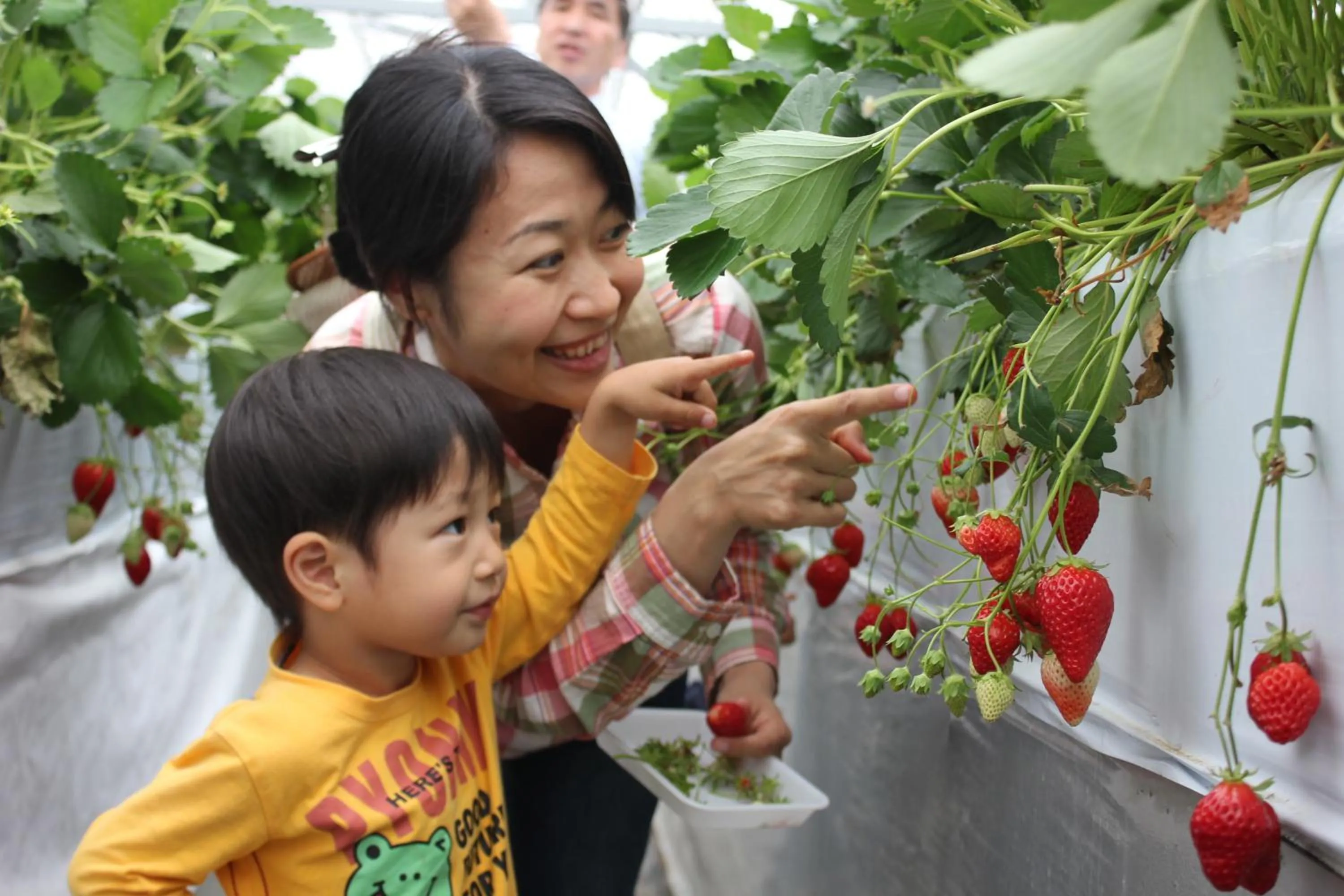 Activities in Fugaku Hanabusa