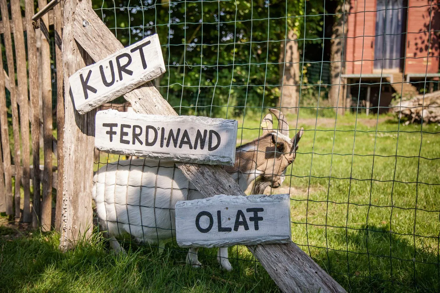 Garden in Hotel Landhafen