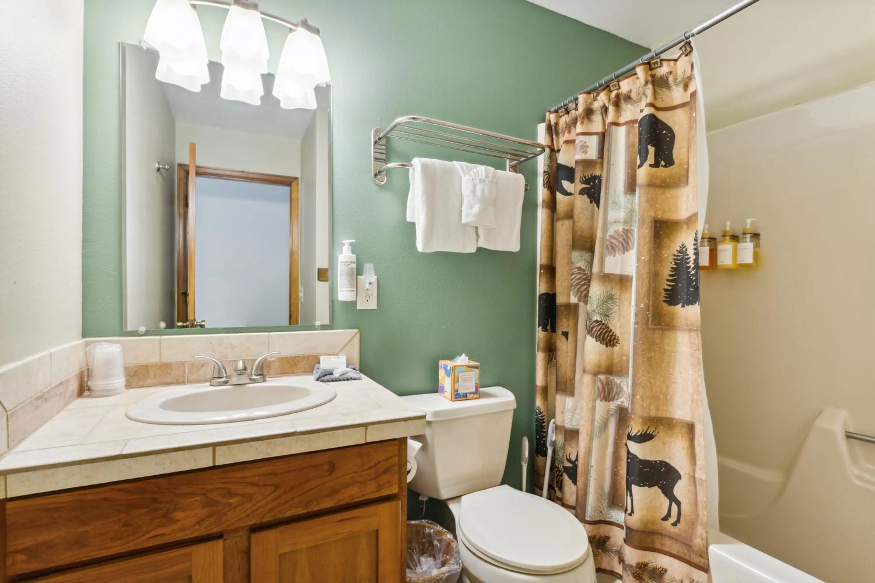 Bathroom in Ponderosa Lodge