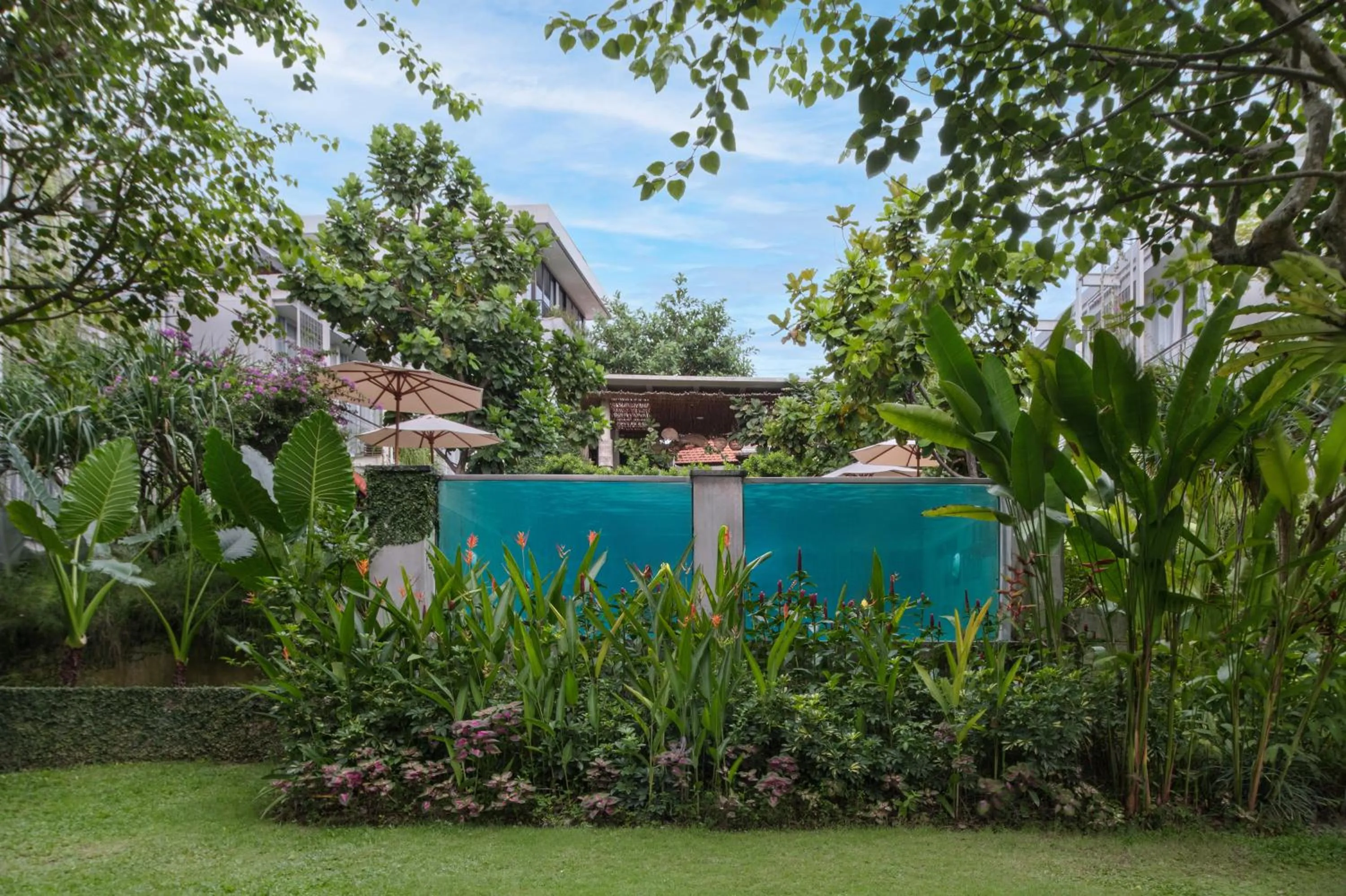 Swimming pool in Rimbun Canggu Hotel