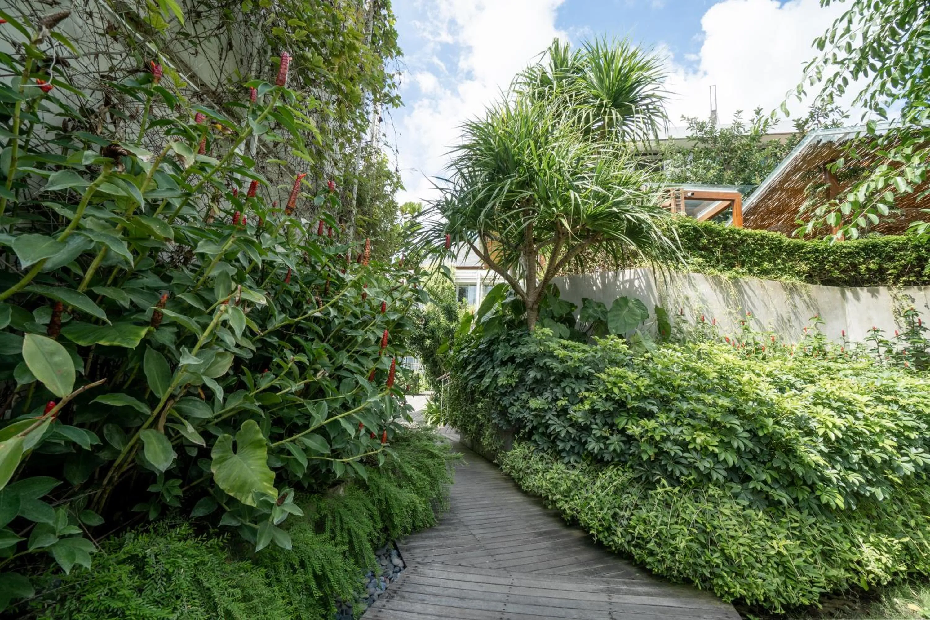 Garden in Rimbun Canggu Hotel