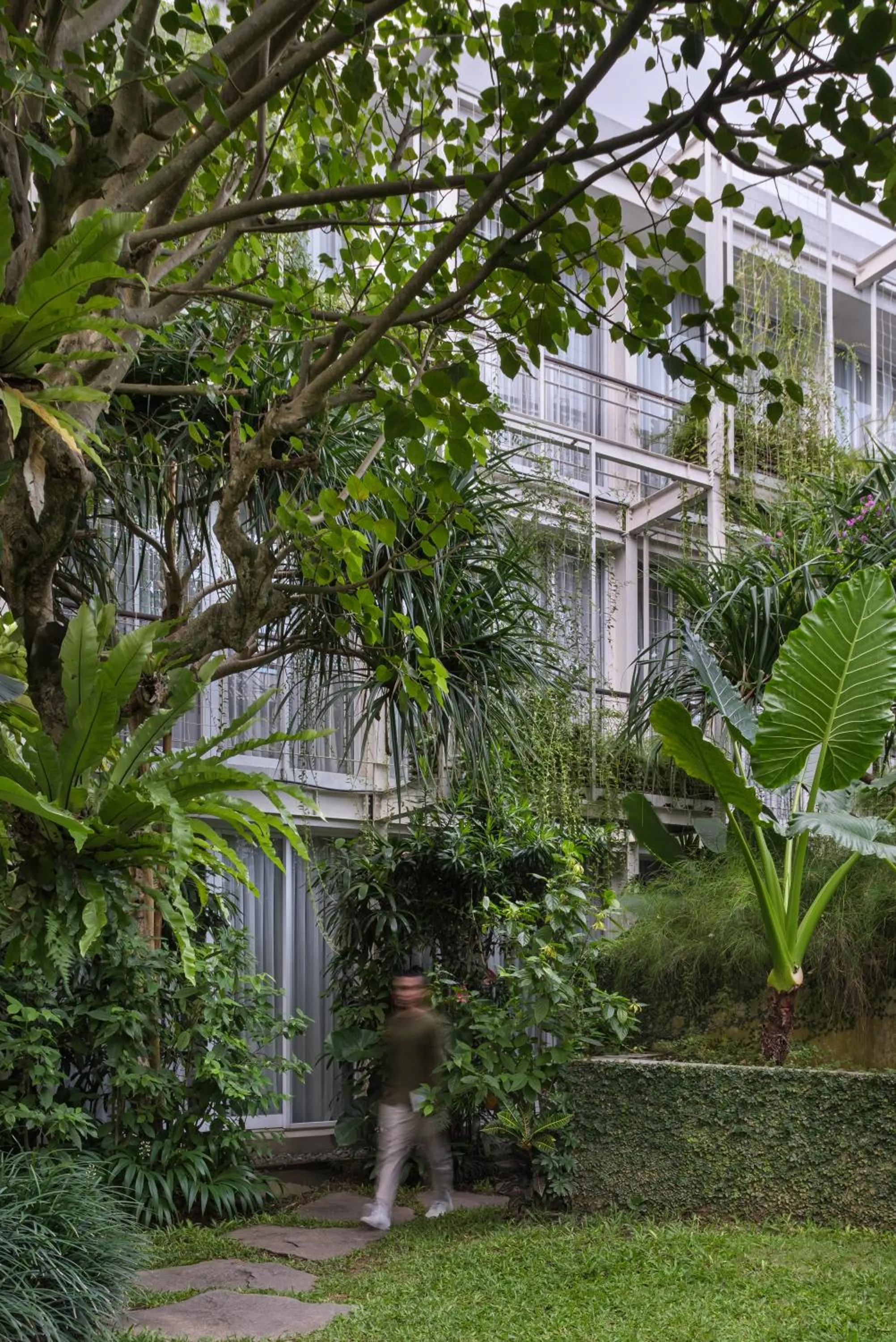 Garden in Rimbun Canggu Hotel