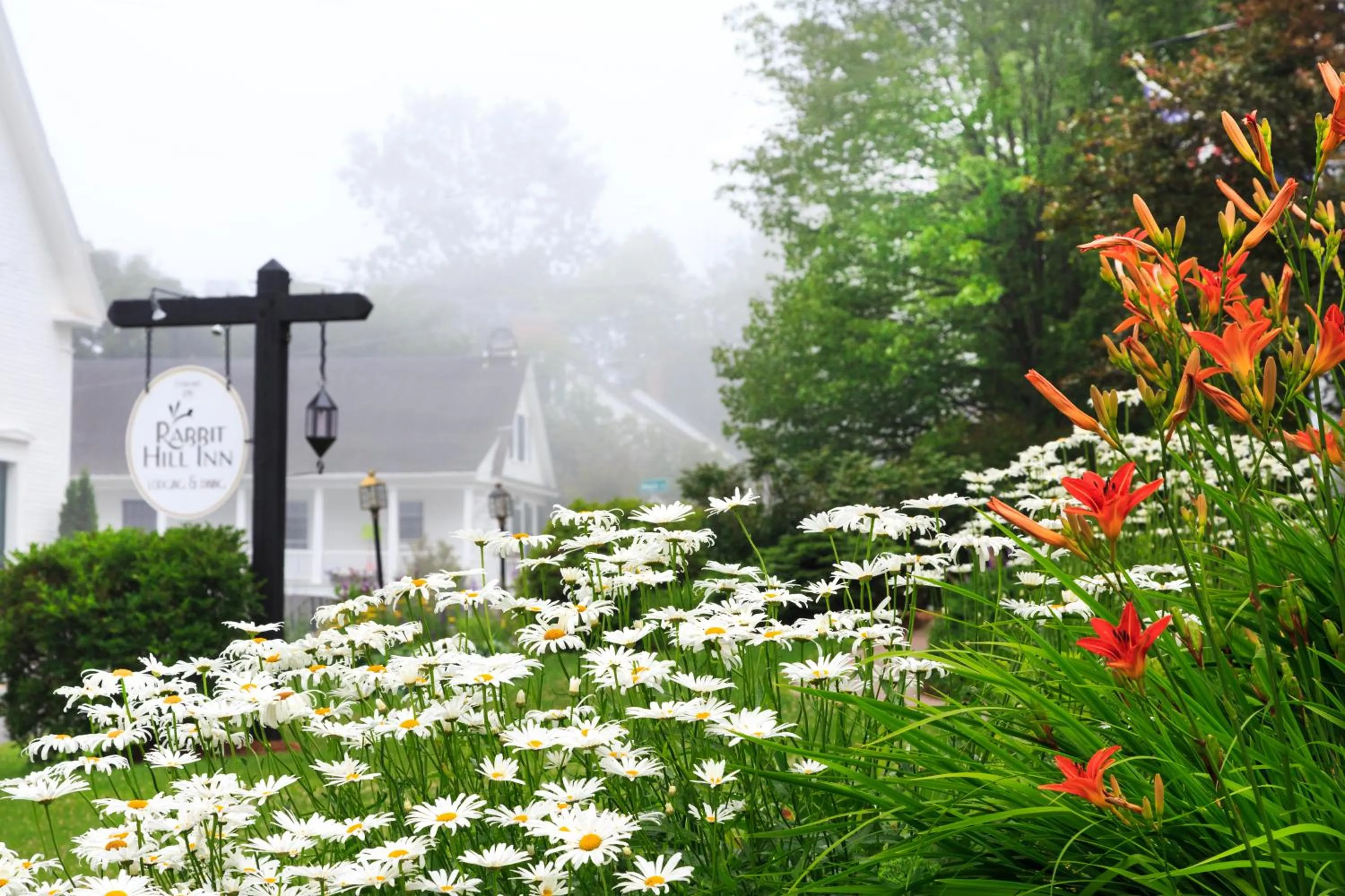 Garden in Rabbit Hill Inn