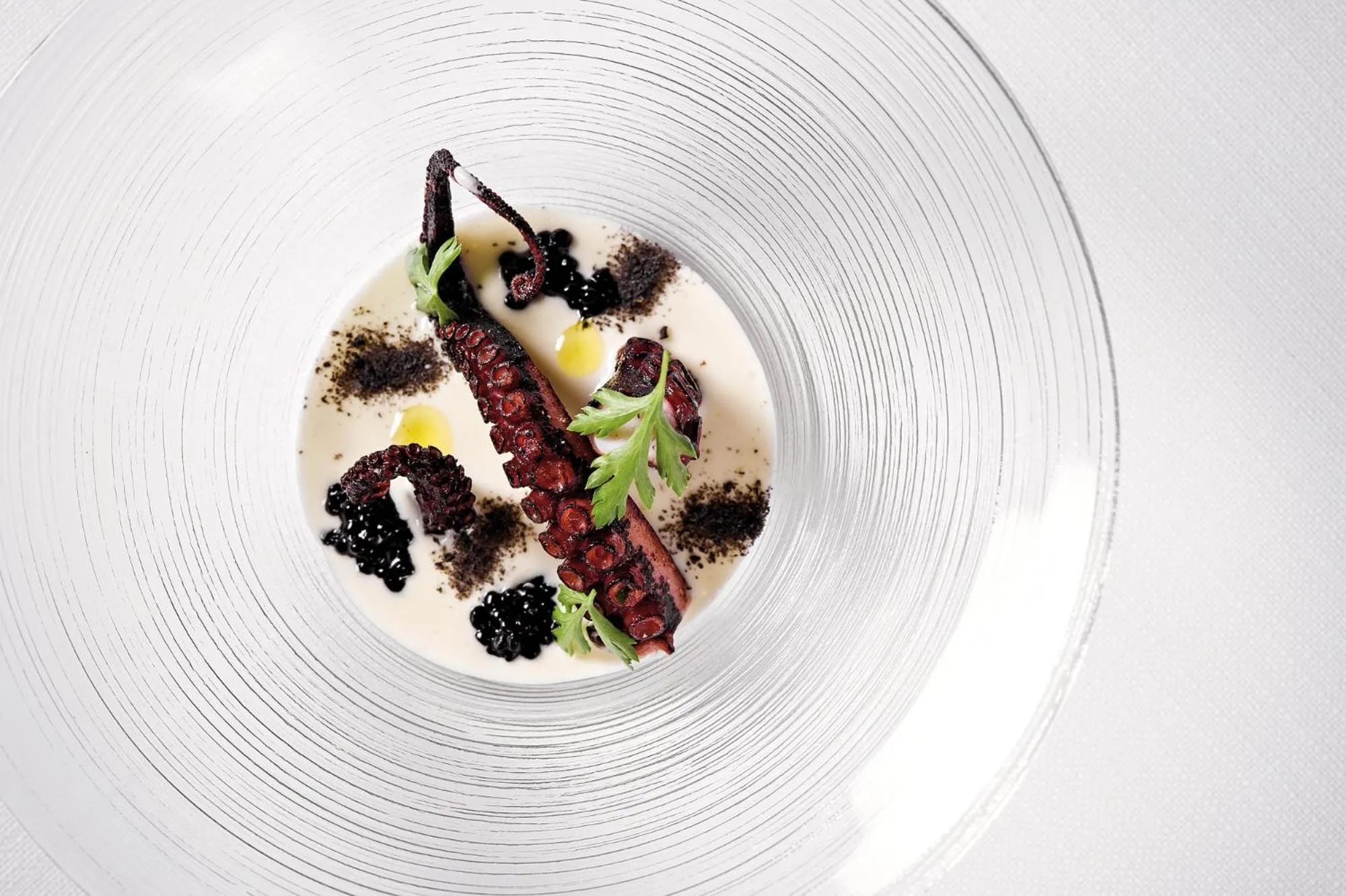 Food and drinks in DAM boutique hotel & restaurant