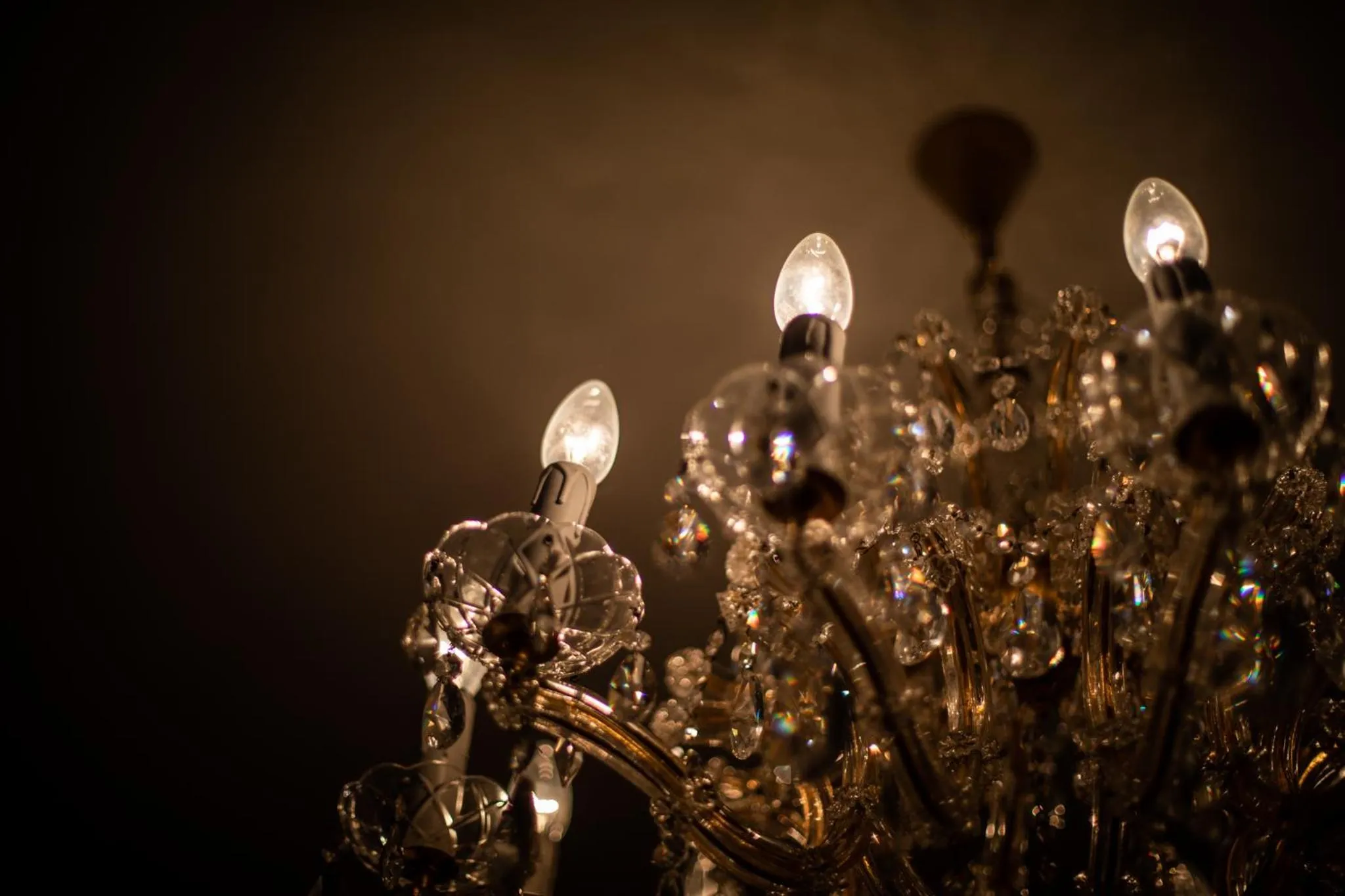 Food and drinks in DAM boutique hotel & restaurant