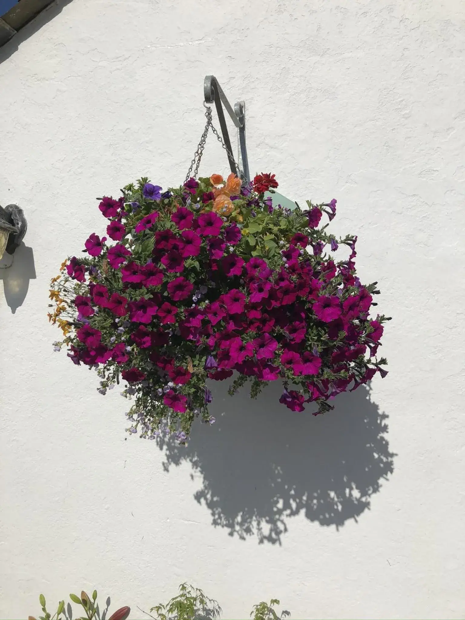 Property building in Blue Lion Inn Property building in Blue Lion Inn