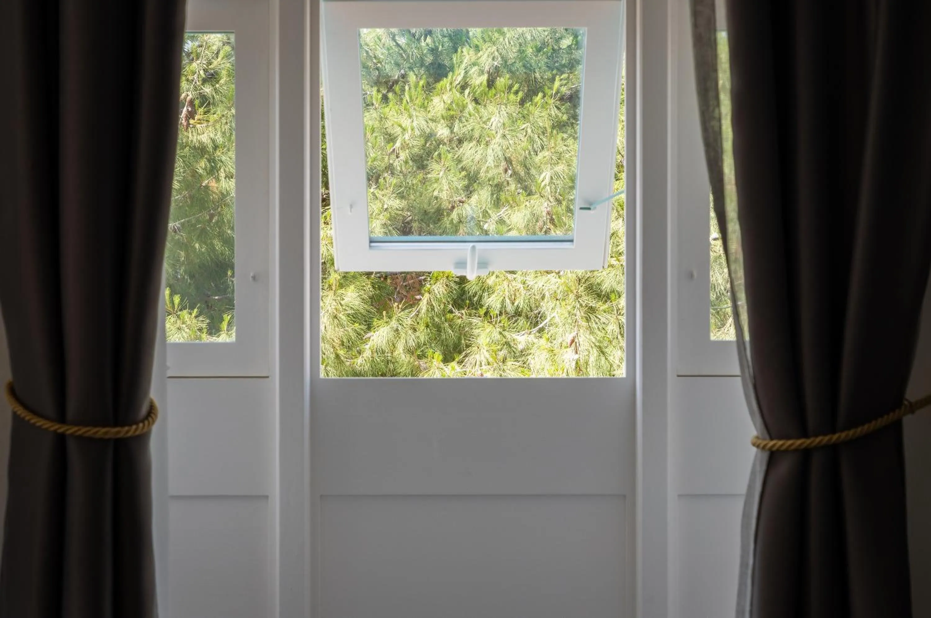 Garden view in MYN in Rabat