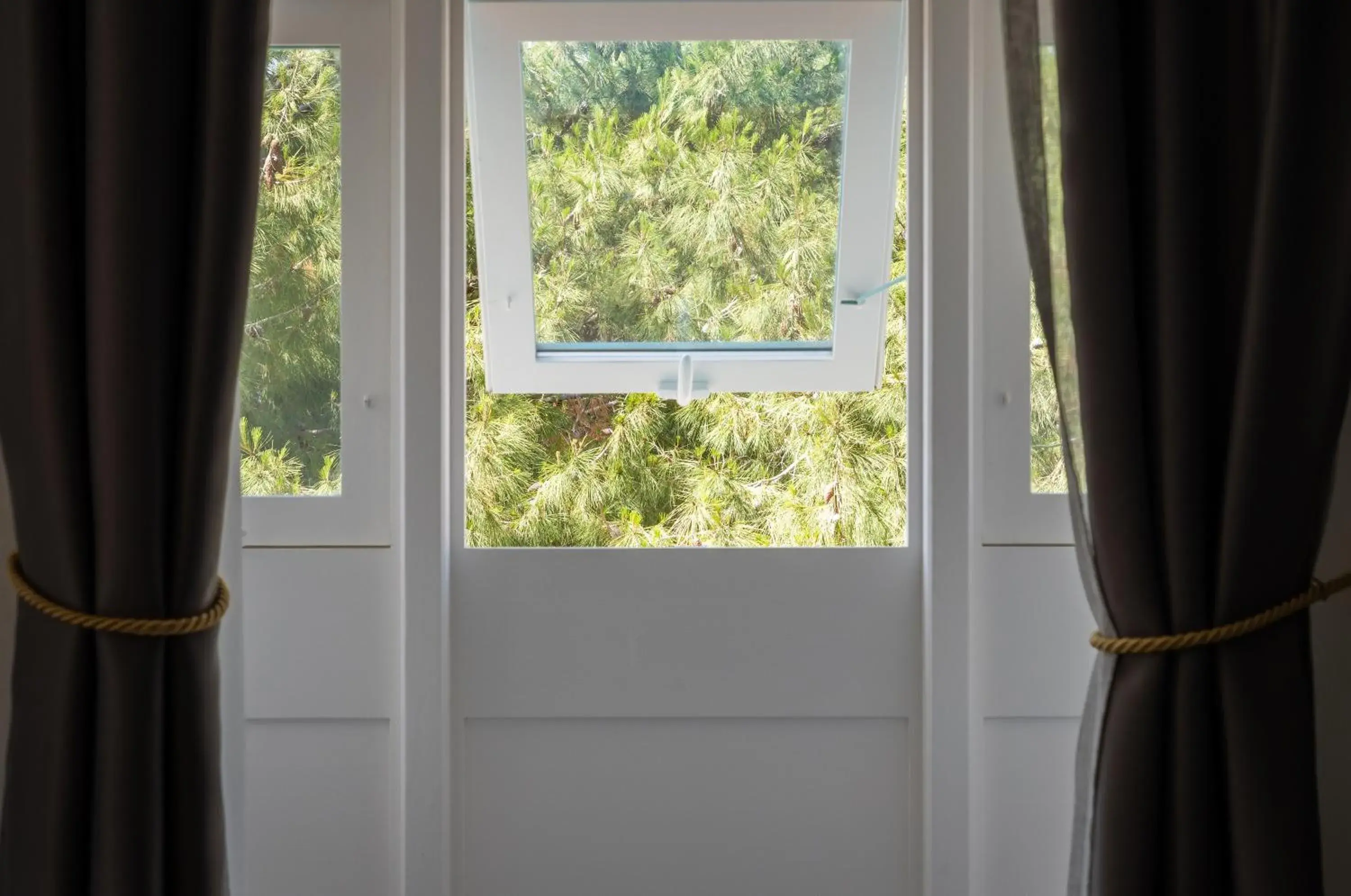 Garden view in MYN in Rabat Garden view in MYN in Rabat