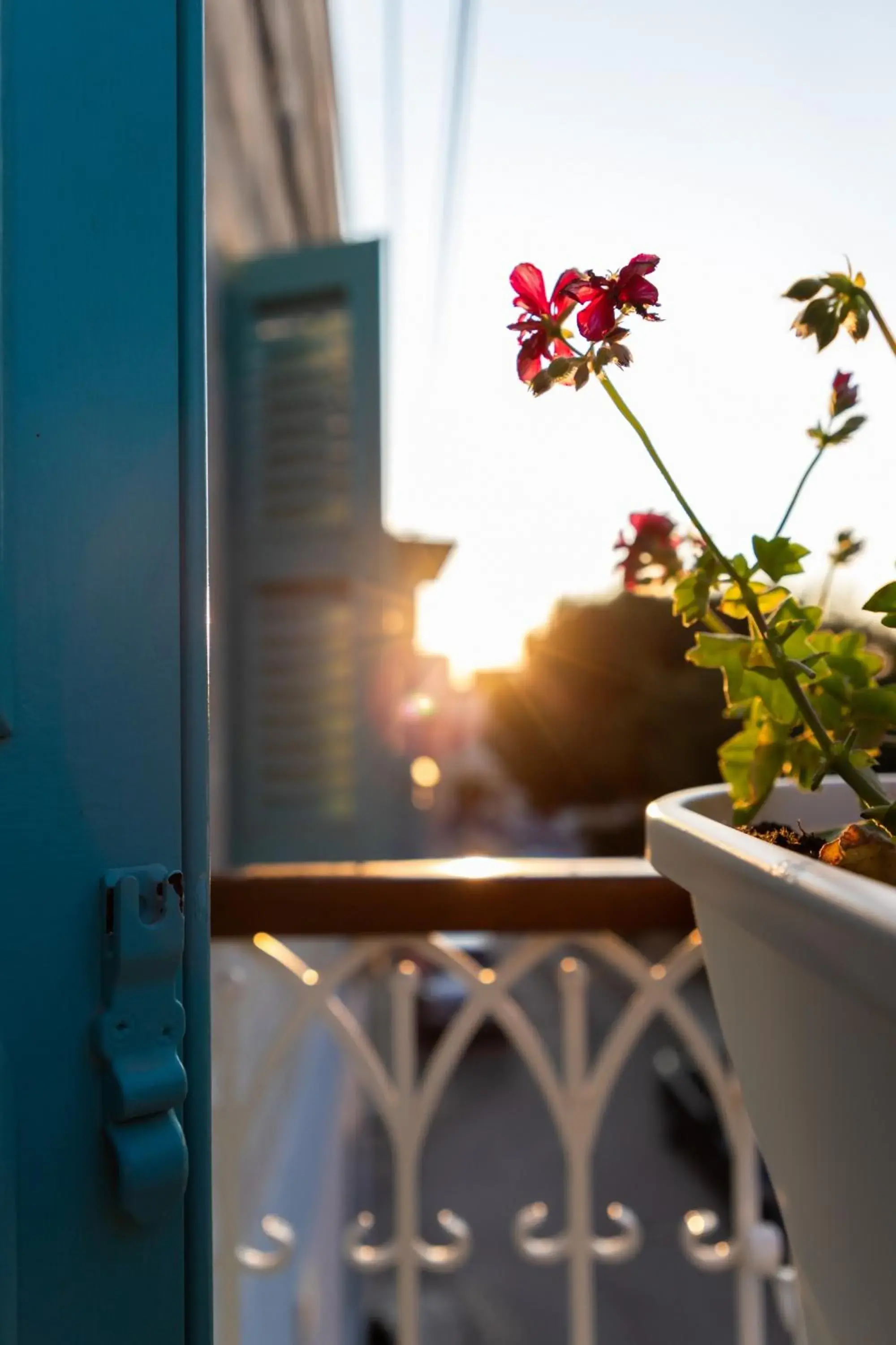 Property building in MYN in Rabat Property building in MYN in Rabat