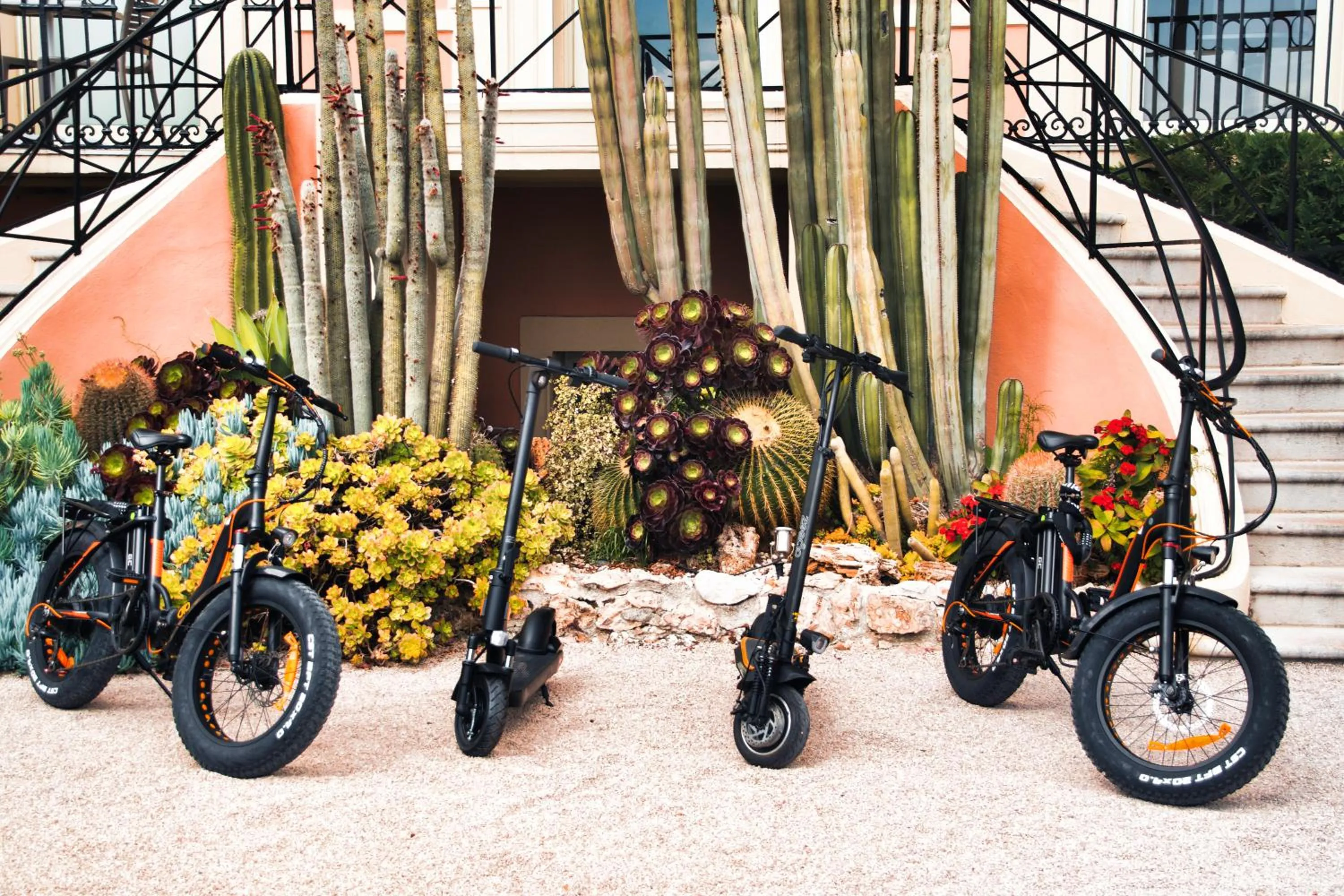 Activities in Best Western Premier Hotel Prince de Galles