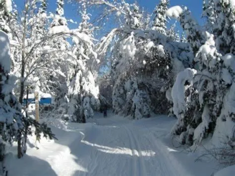 Winter in Hôtel Far Hills