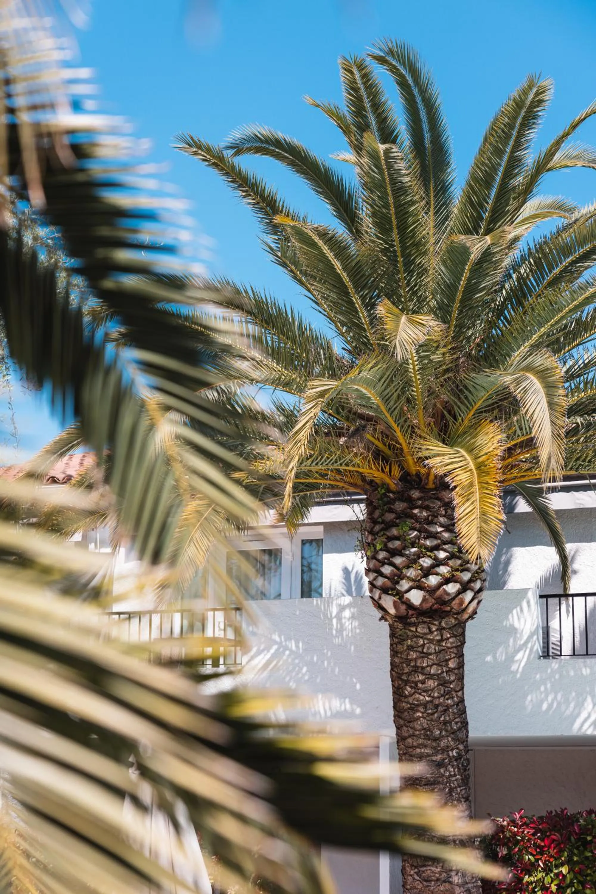 Facade/entrance in Hôtel La Villa Cap d’Antibes