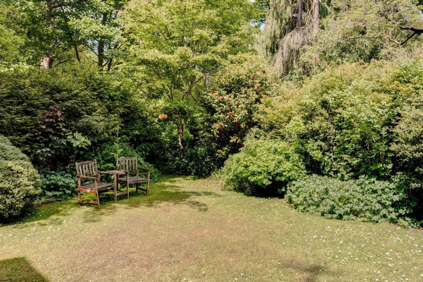 Garden in The Writers Retreat- Hastings