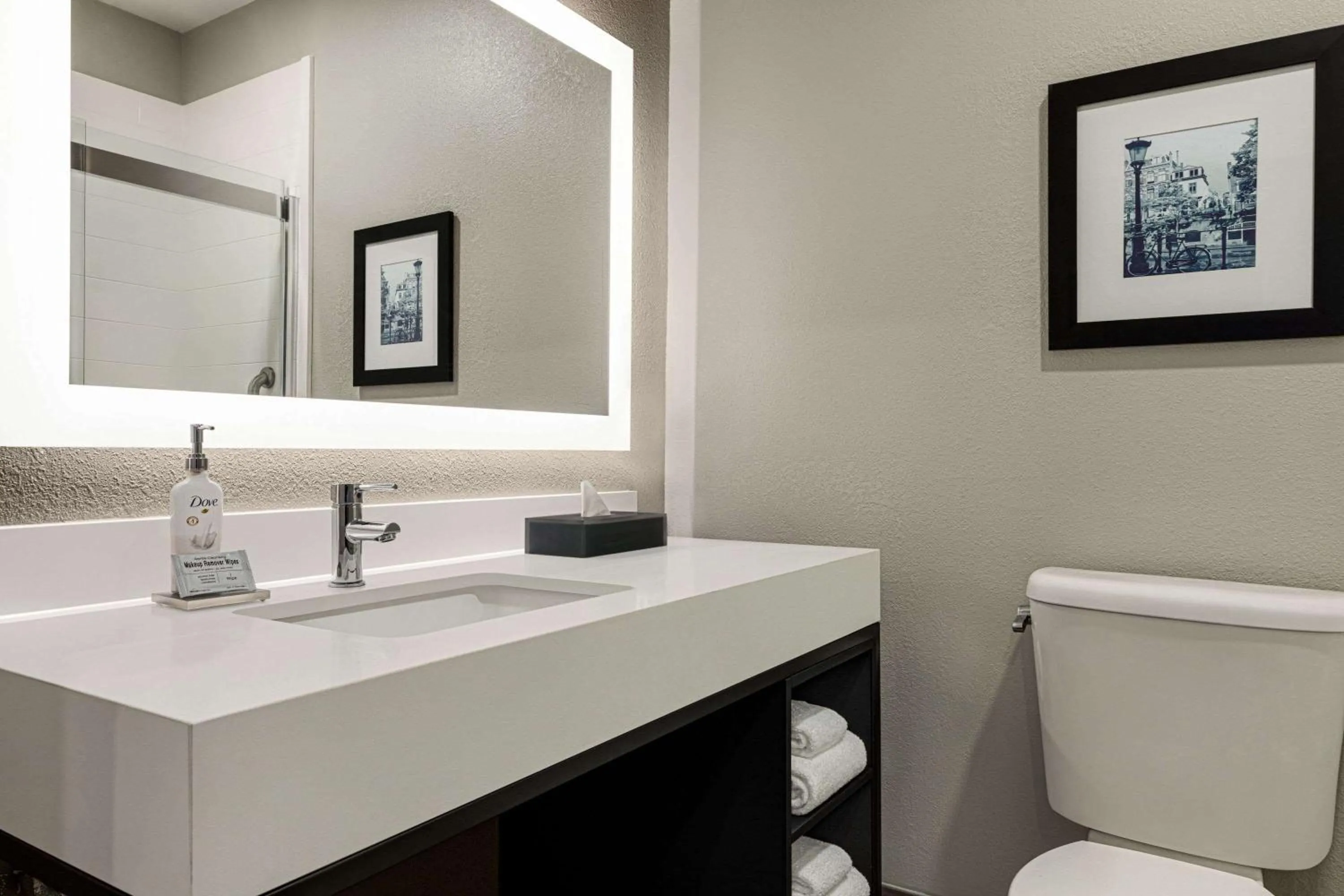 Bathroom in La Quinta by Wyndham Oxford - Anniston