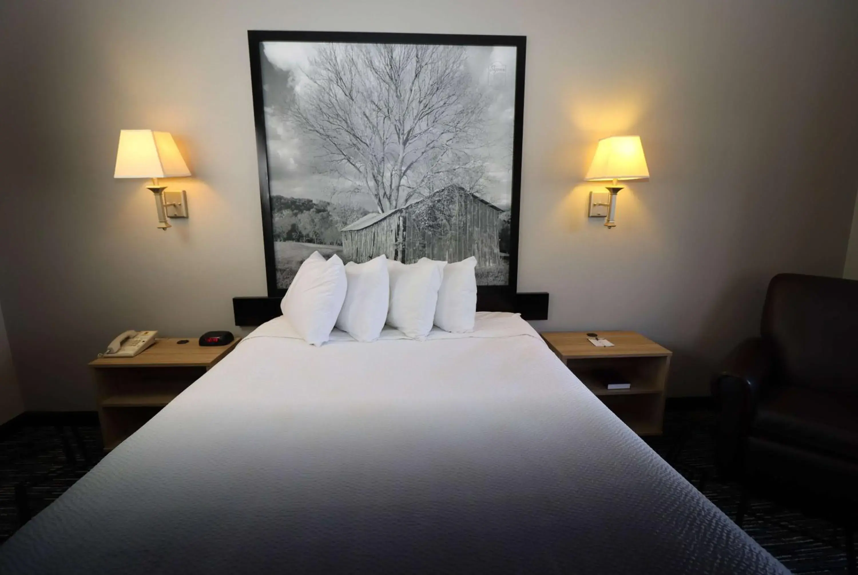 Photo of the whole room, Bed in Super 8 by Wyndham Perryville Photo of the whole room, Bed in Super 8 by Wyndham Perryville