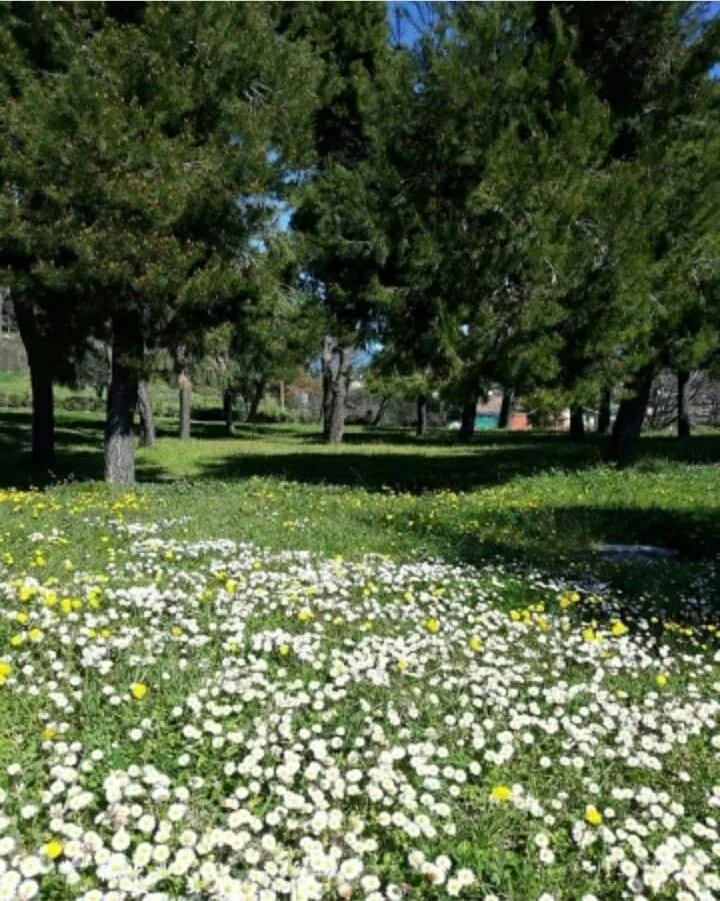 Garden in La Collina sul Mare