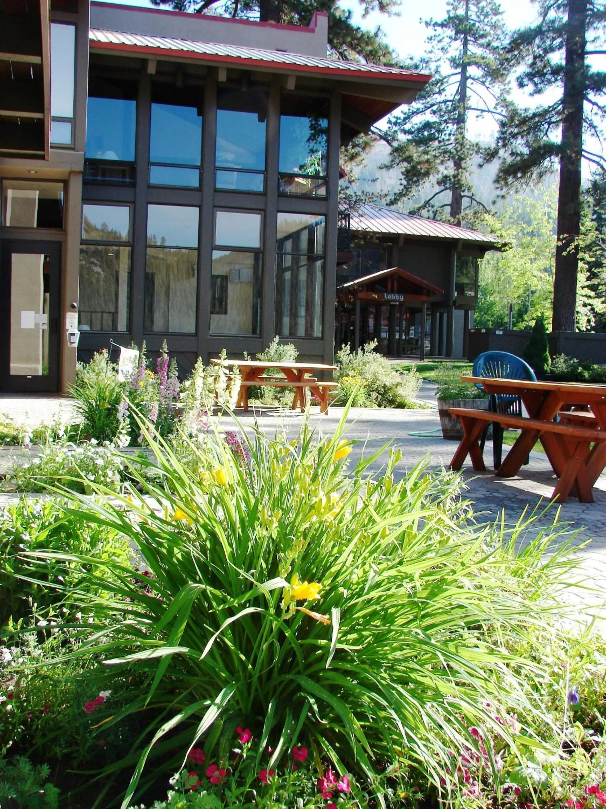 Property Building in Donner Lake Village