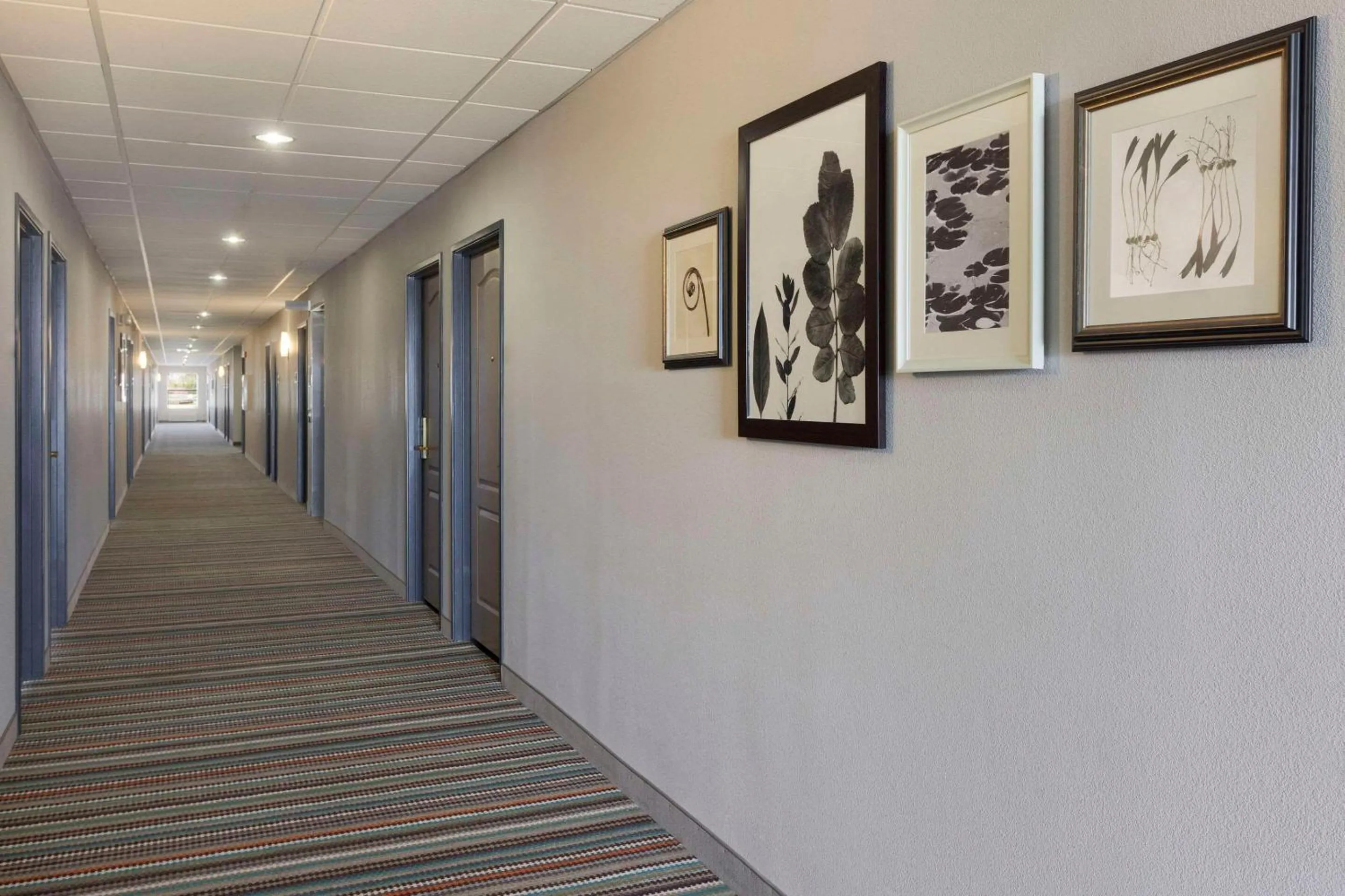 Lobby or reception in Country Inn & Suites by Radisson, Harrisonburg, VA