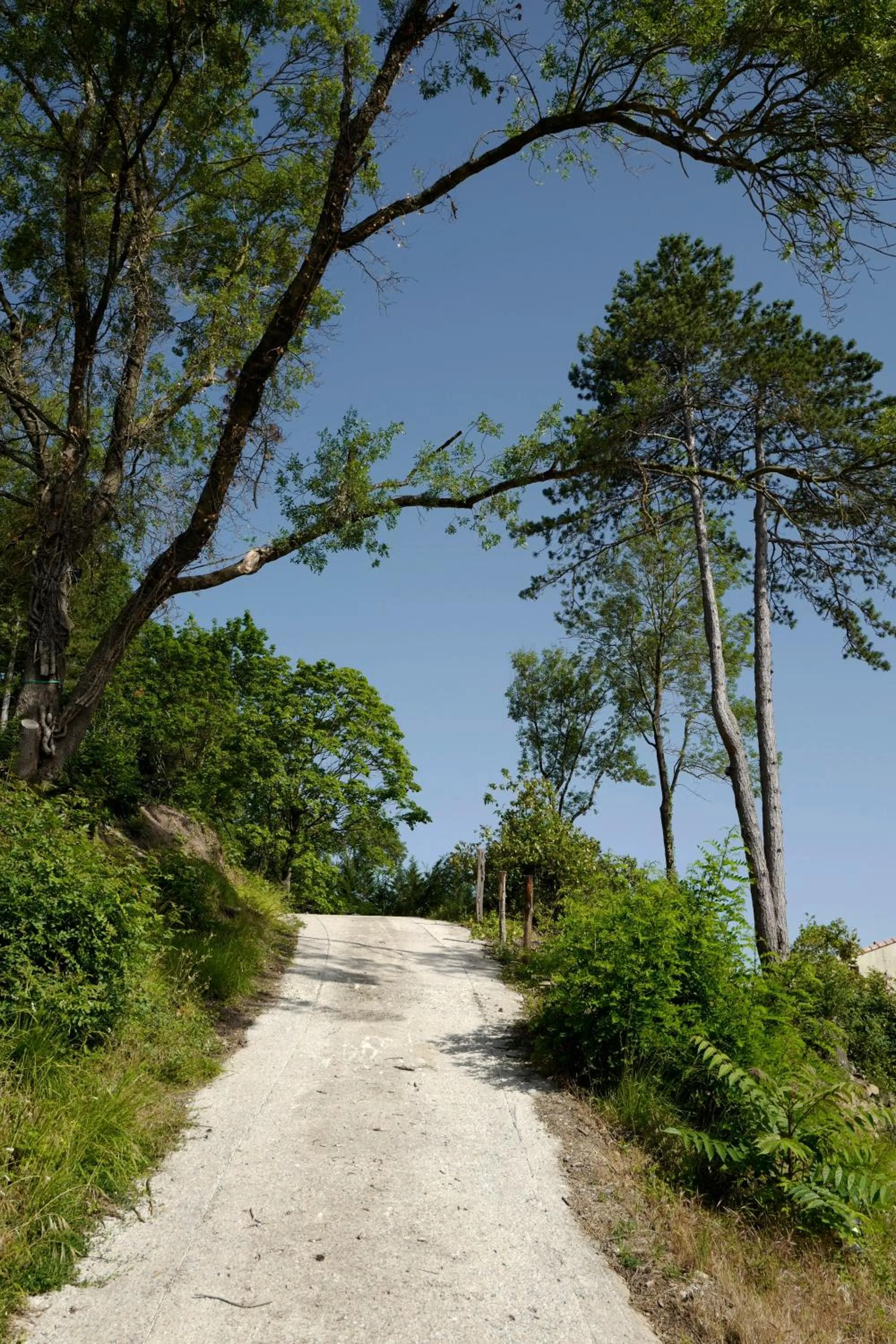 Garden in Hotel De Ma Tante