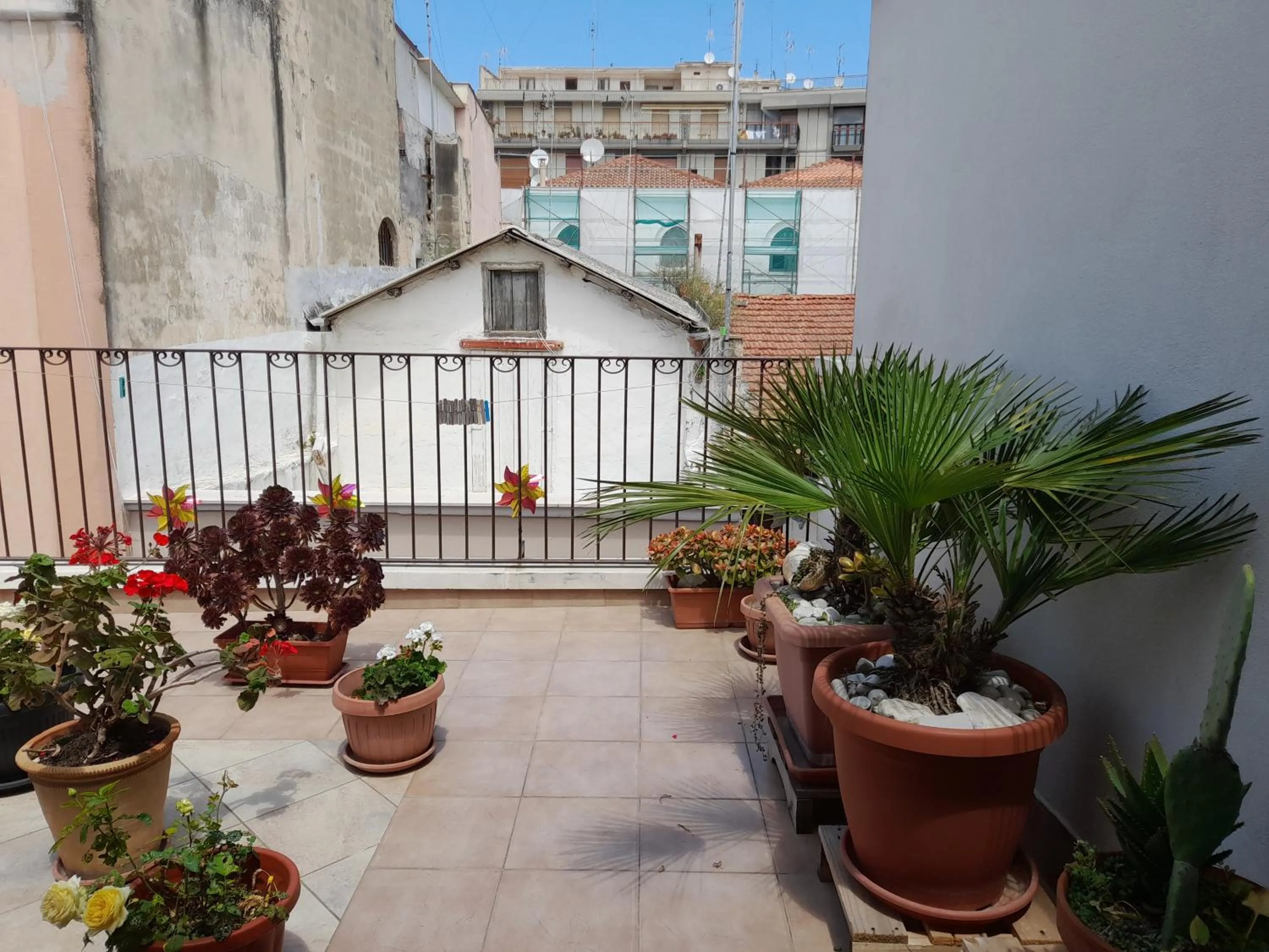 Il Cavalliere Bed & breakfast