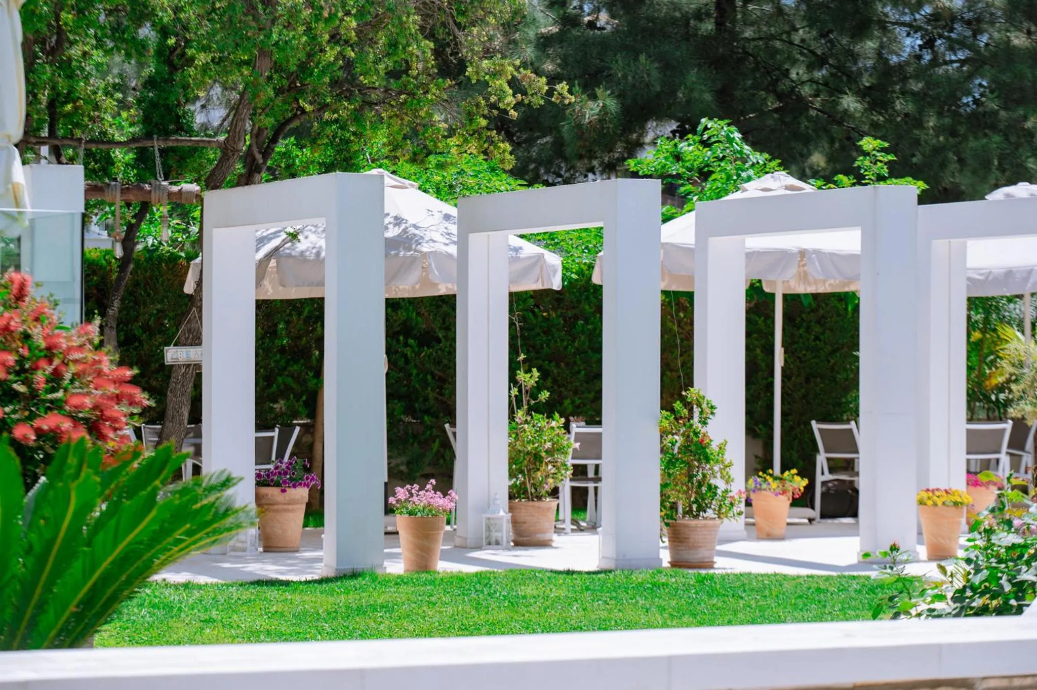 Property building in Sentimento