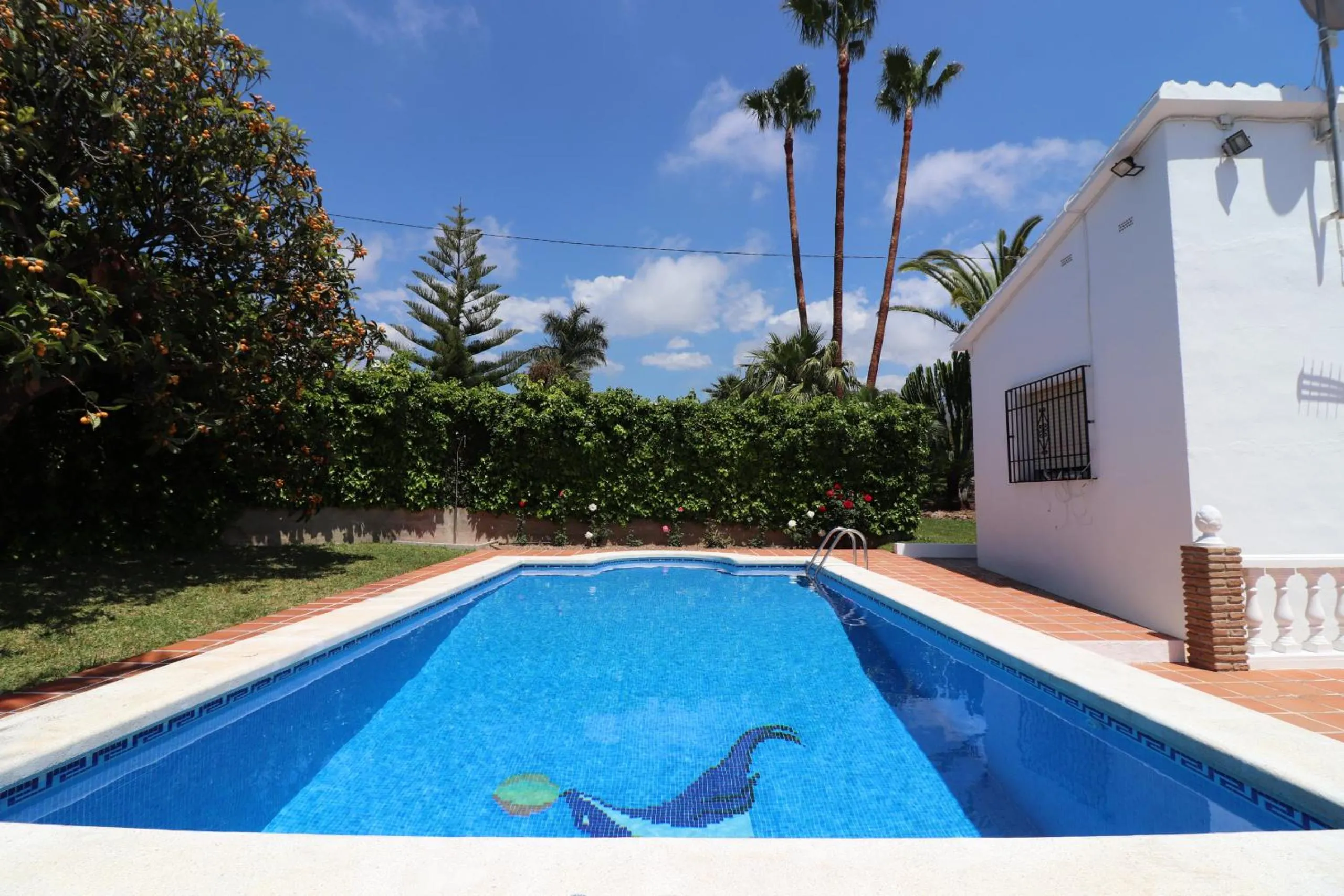 Swimming pool in Villa el Romeral SpainSunRentals 1112