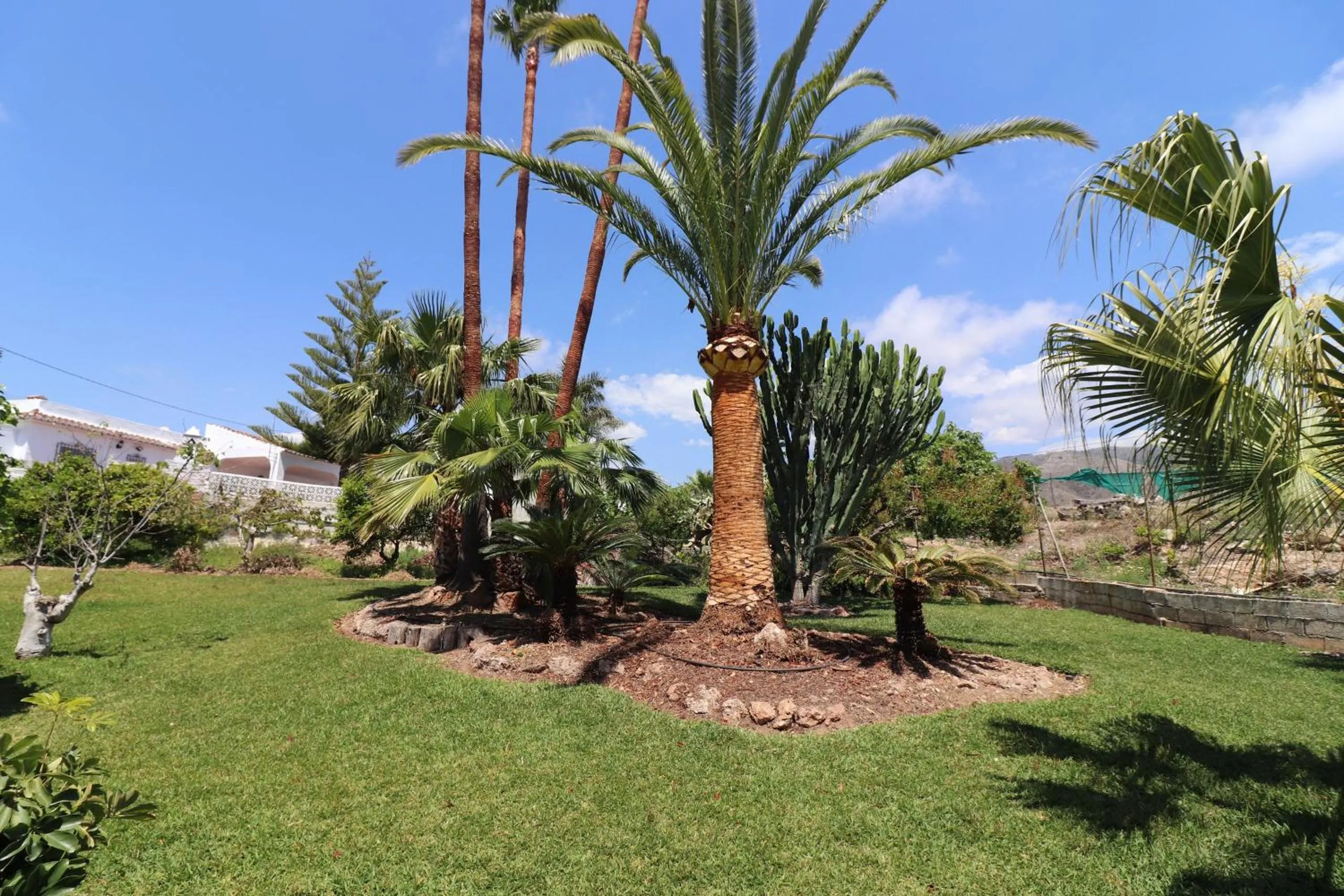 Patio in Villa el Romeral SpainSunRentals 1112