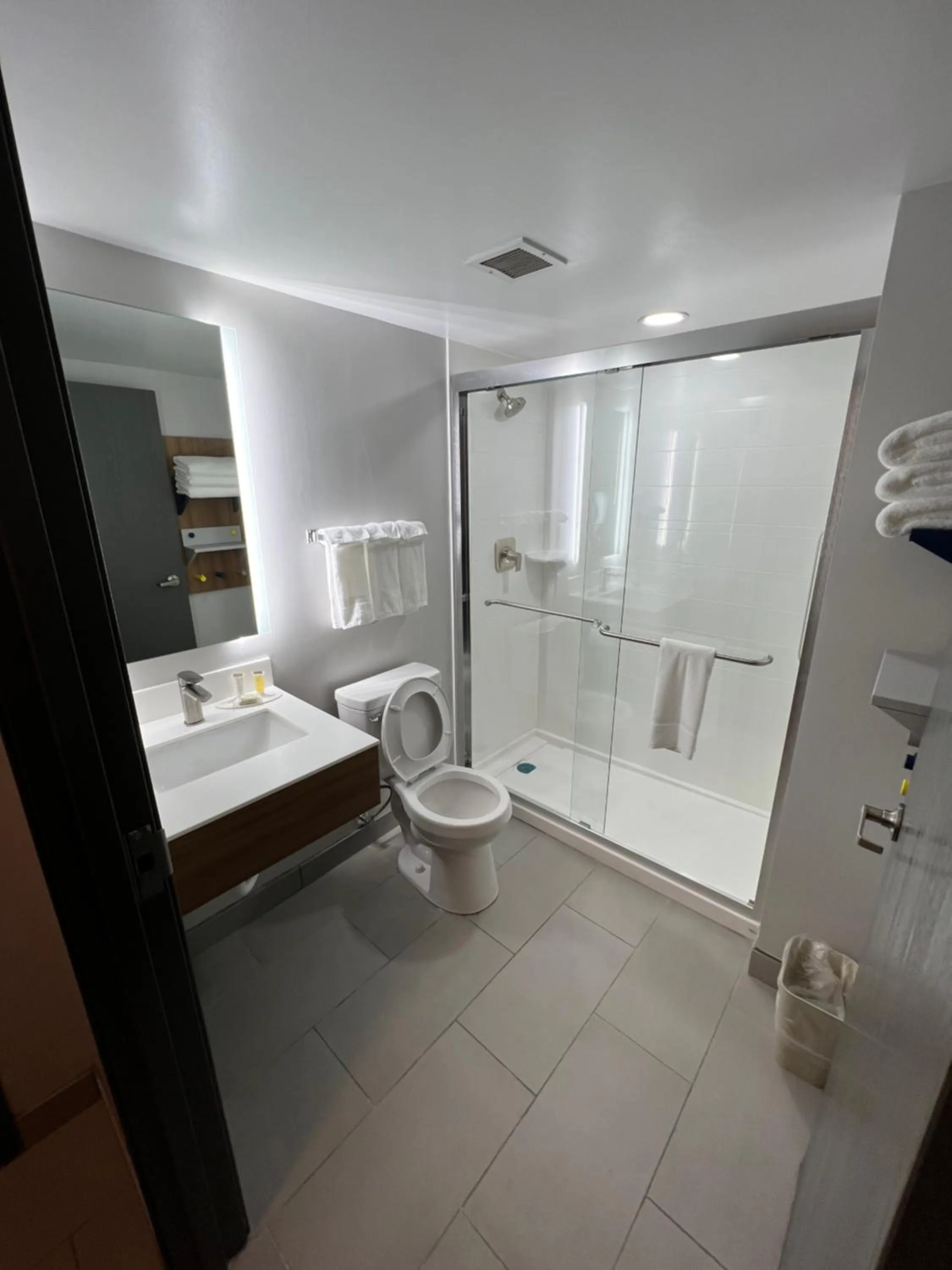 Shower in Microtel Inn & Suites by Wyndham Charlotte/Northlake