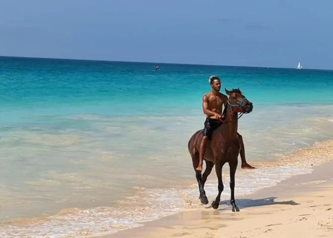 Blue Eagle Guesthouse - Casa de hospedes