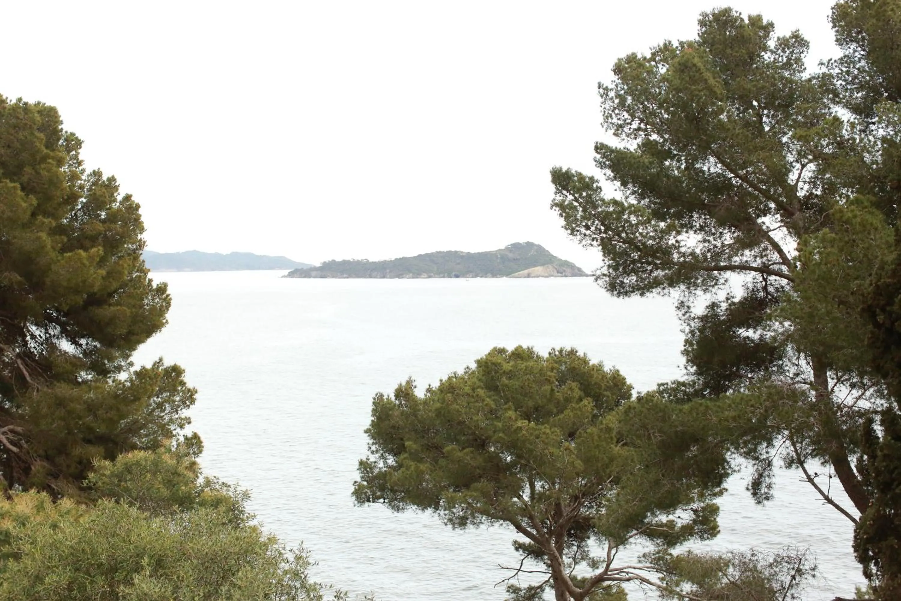 Natural landscape in Hôtel Le Provençal - Rénové en 2025 - Bord de Mer