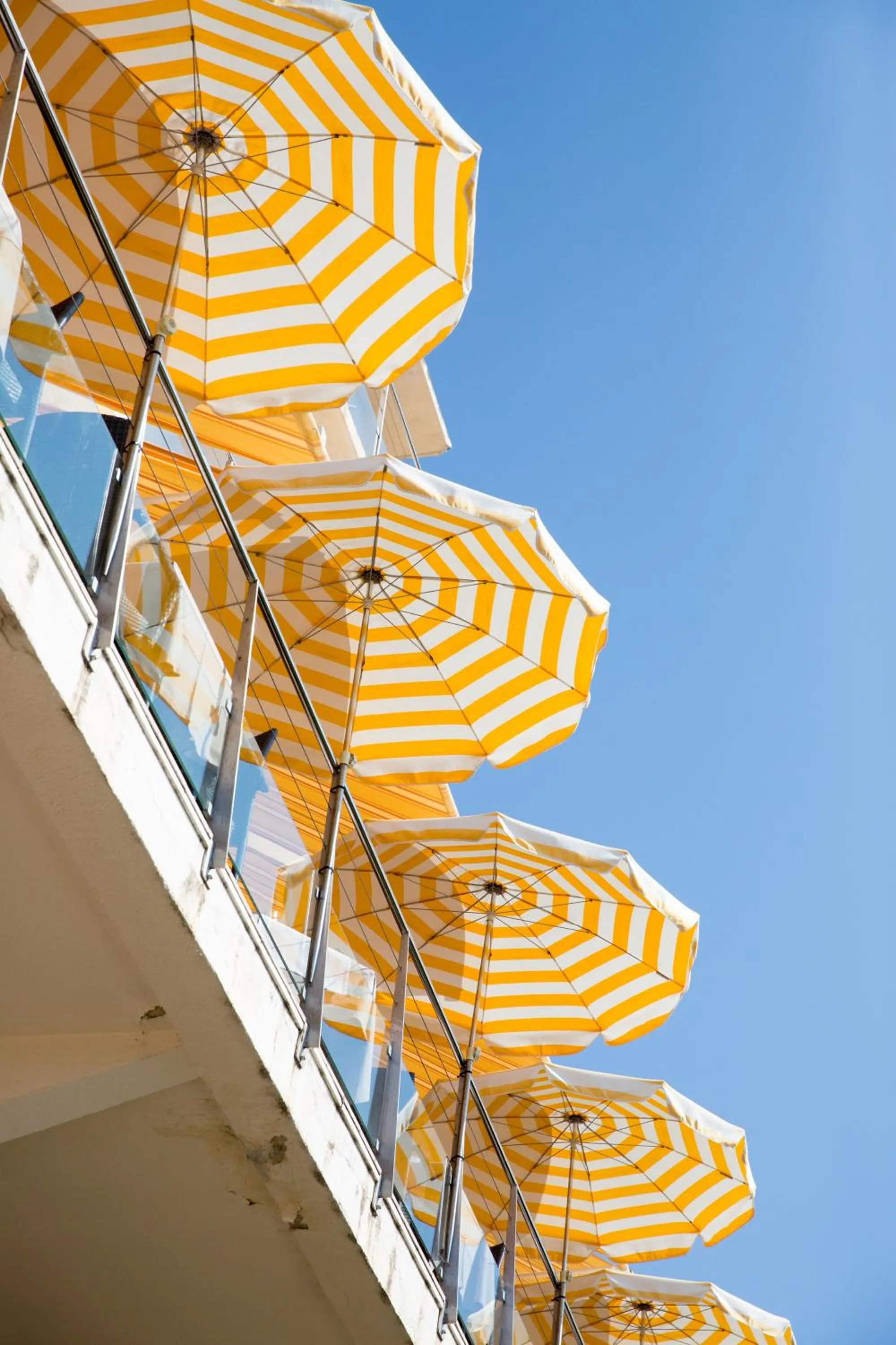 Restaurant/places to eat in Hôtel Le Provençal - Rénové en 2025 - Bord de Mer