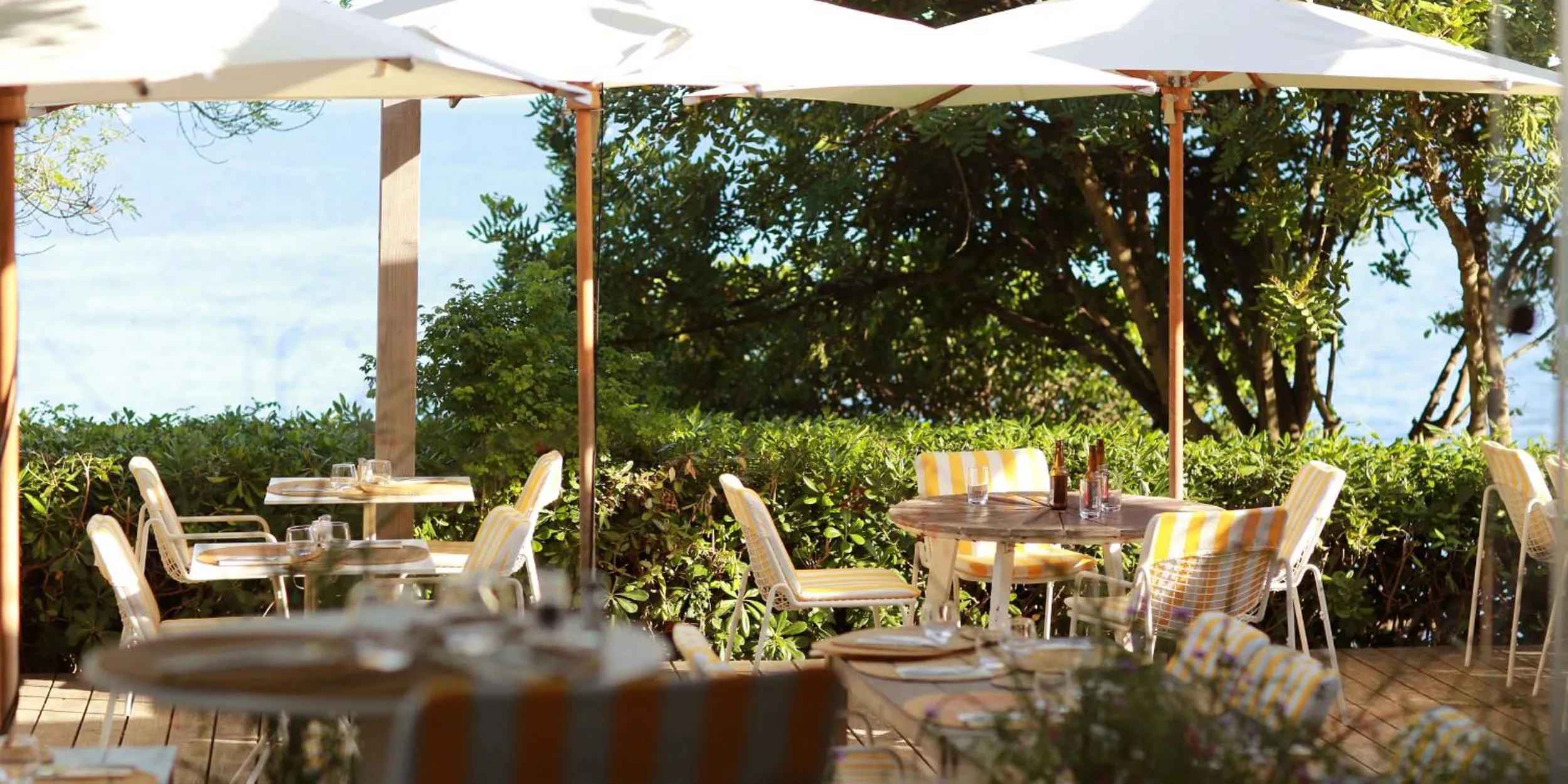 Restaurant/places to eat in Hôtel Le Provençal - Rénové en 2025 - Bord de Mer