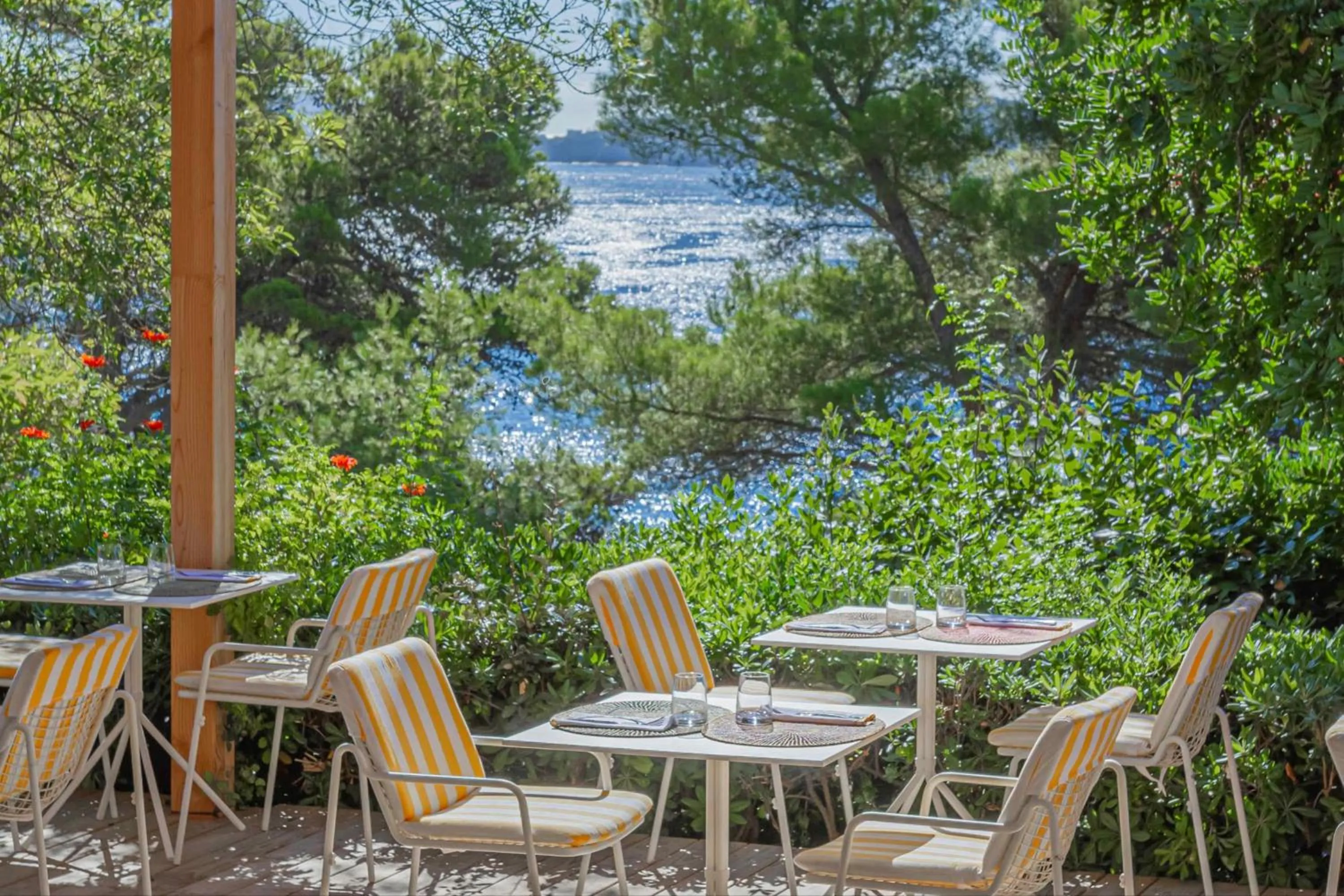 Restaurant/places to eat in Hôtel Le Provençal - Rénové en 2025 - Bord de Mer