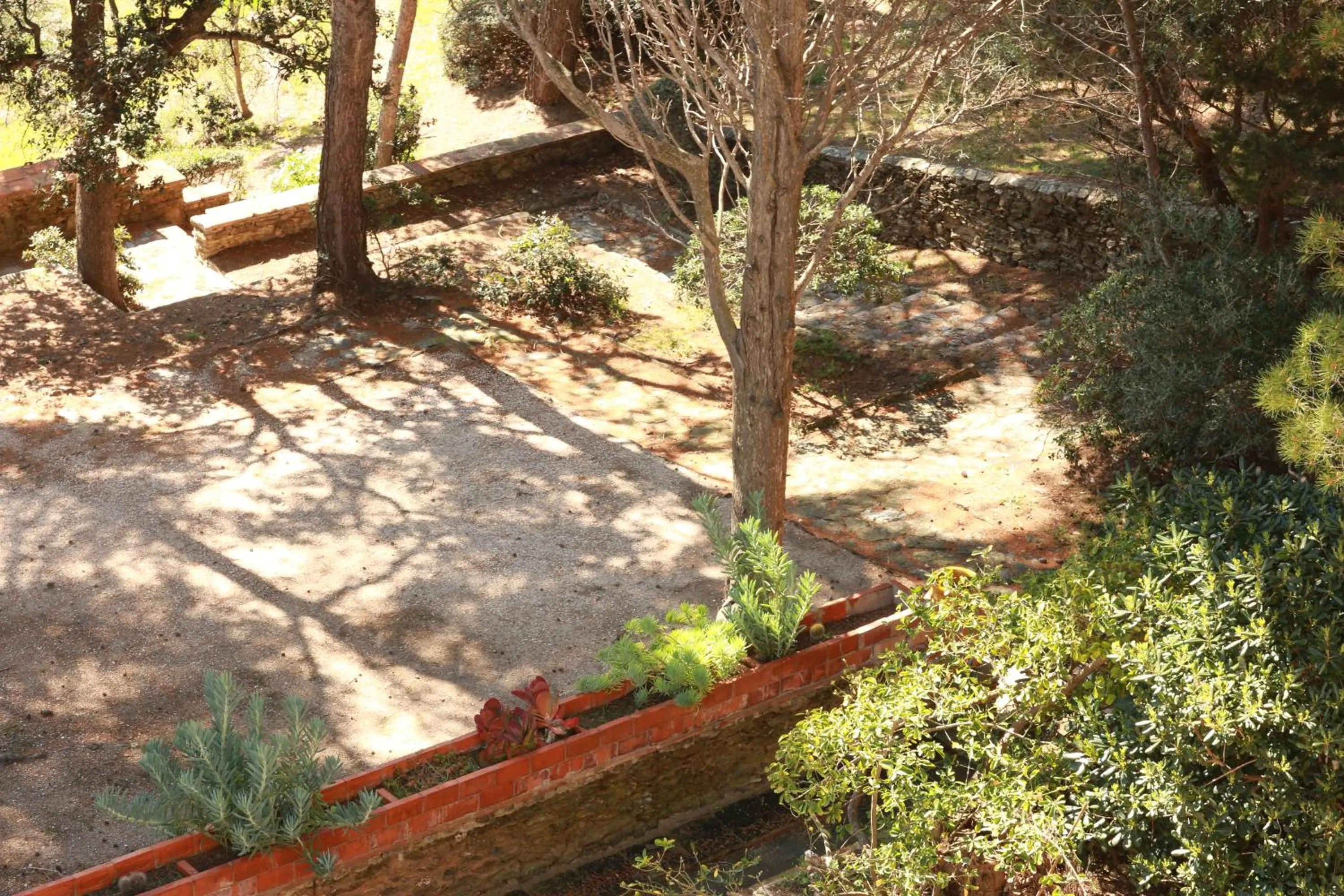 Garden in Hôtel Le Provençal - Rénové en 2025 - Bord de Mer