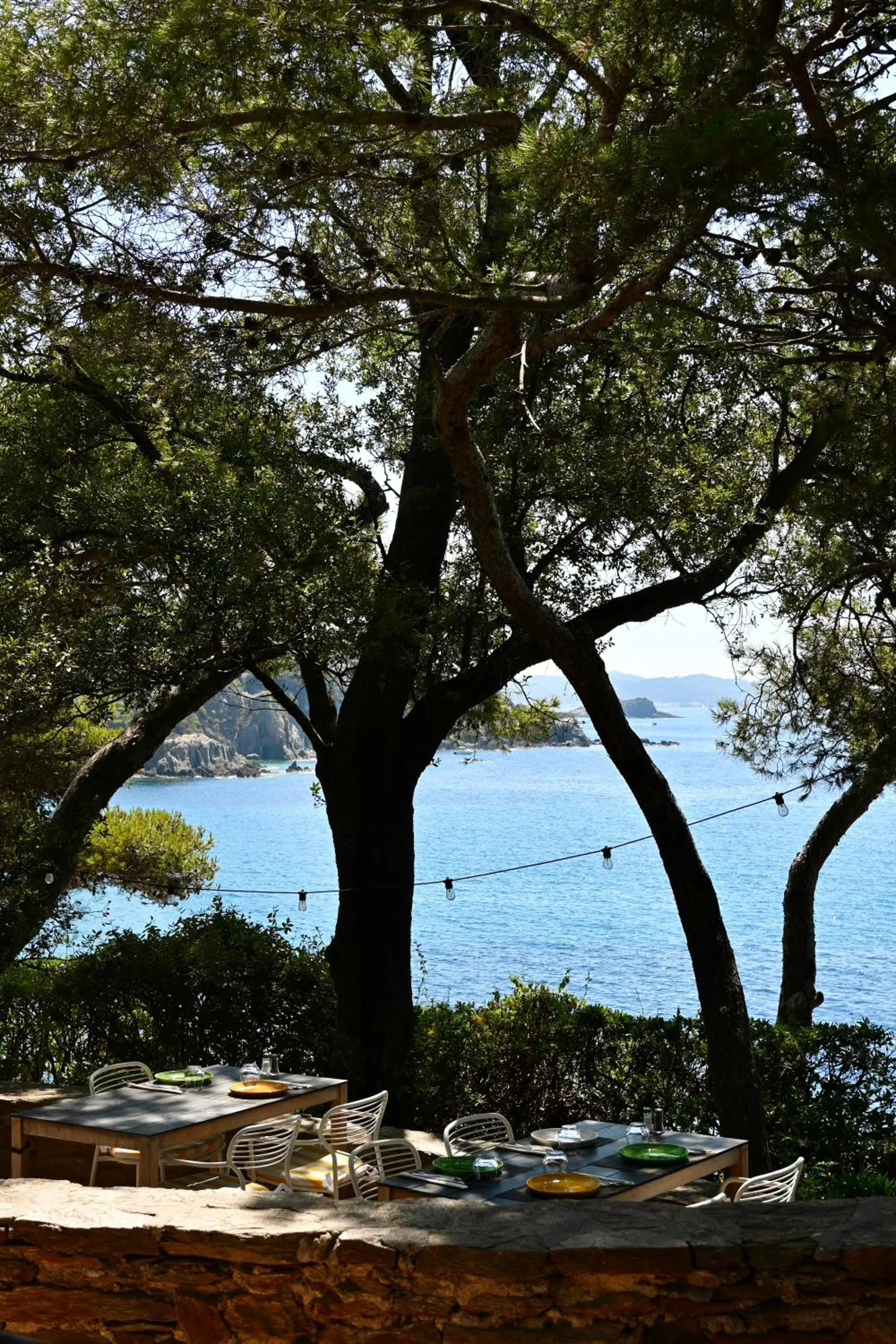 Restaurant/places to eat in Hôtel Le Provençal - Rénové en 2025 - Bord de Mer