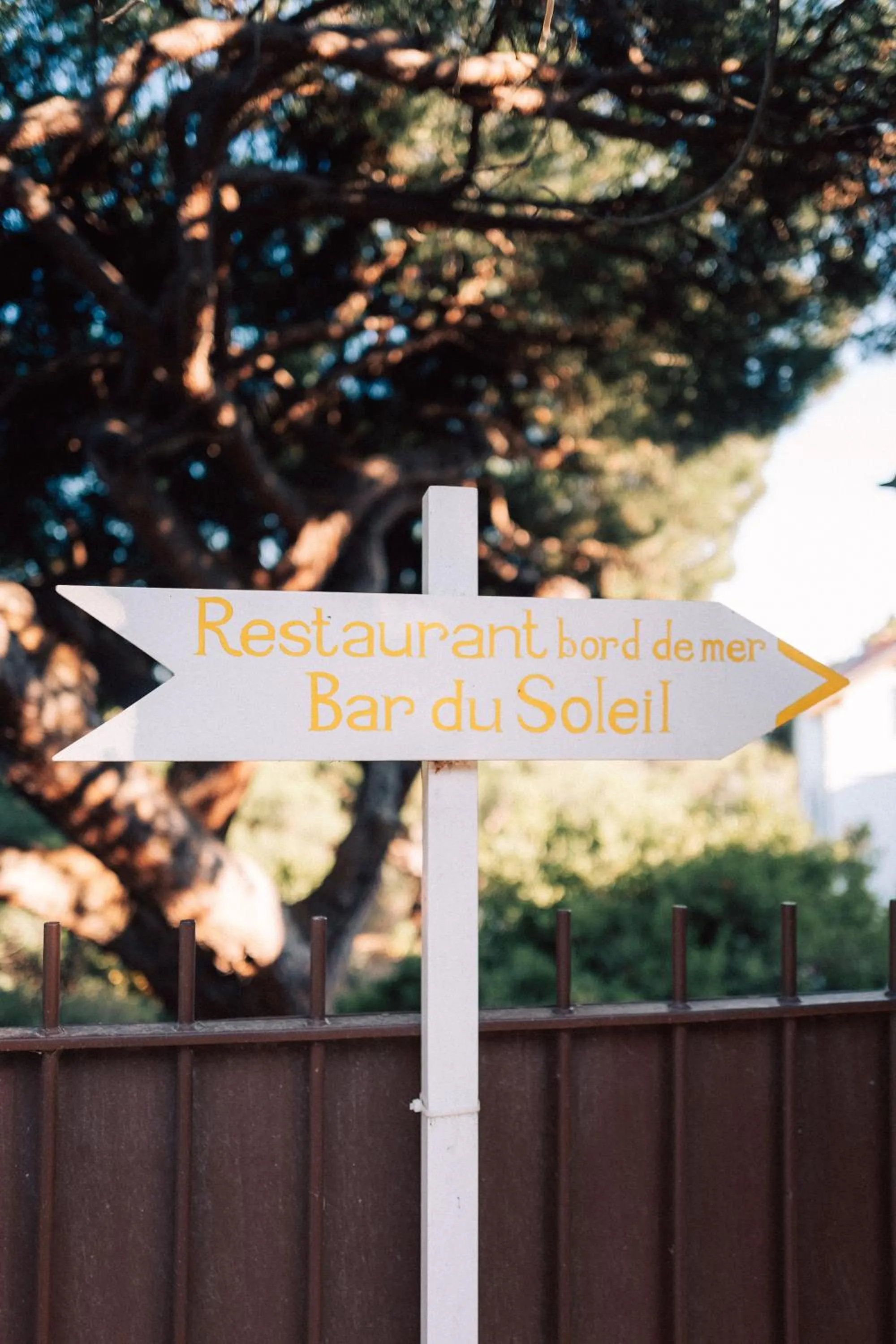 Garden in Hôtel Le Provençal - Rénové en 2025 - Bord de Mer