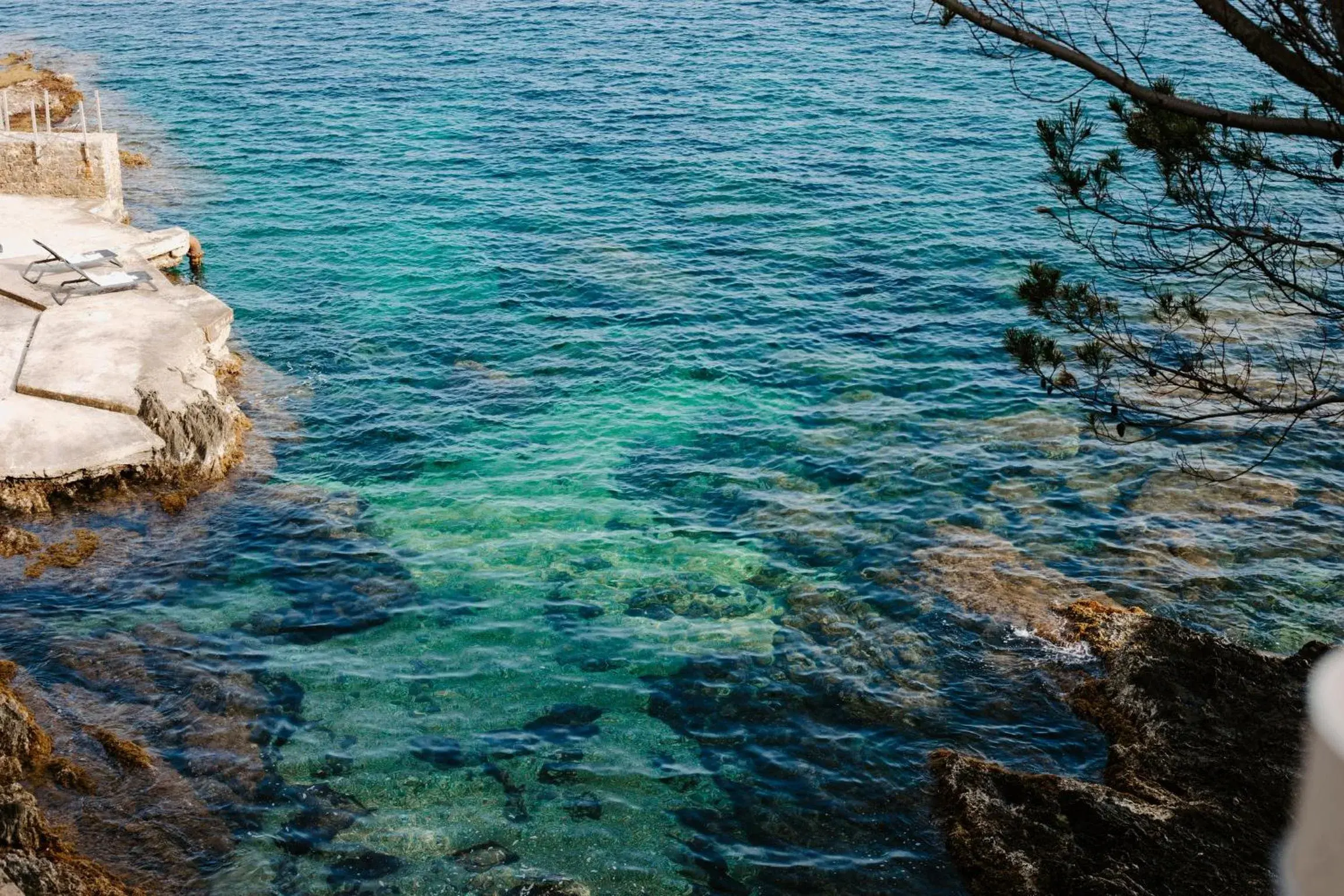 Hôtel Le Provençal - Rénové en 2025 - Bord de Mer Hôtel Le Provençal - Rénové en 2025 - Bord de Mer