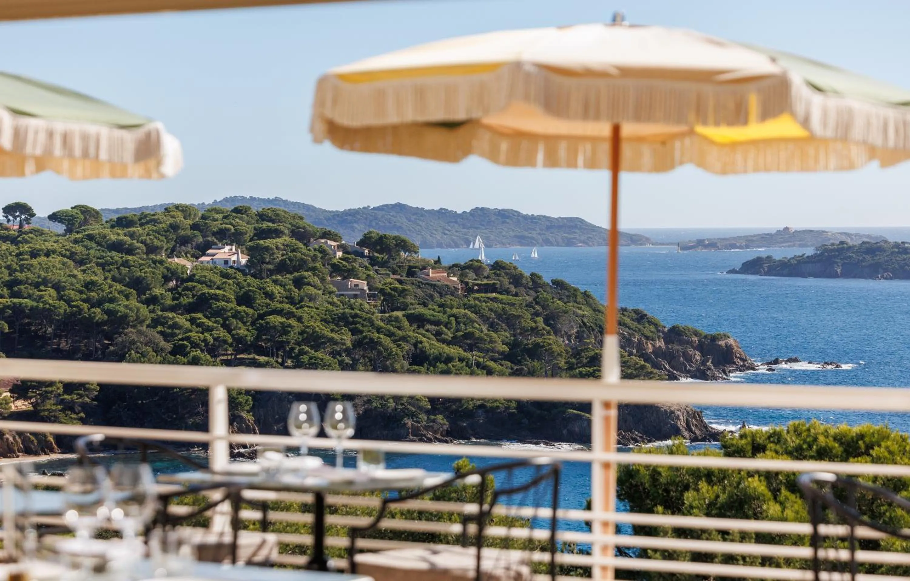 Restaurant/places to eat in Hôtel Le Provençal - Rénové en 2025 - Bord de Mer