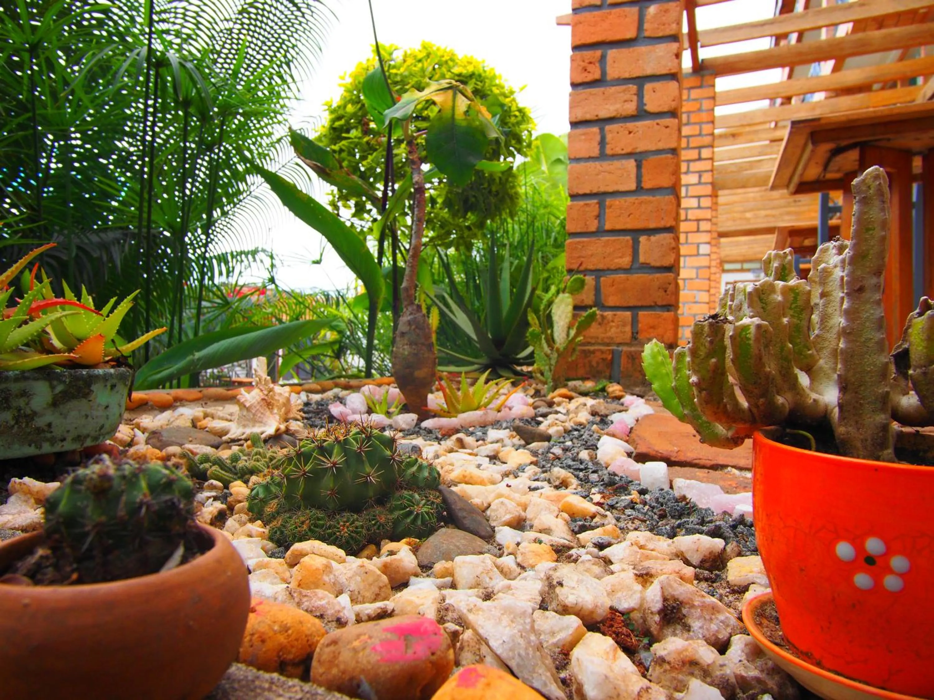 Garden in Gassy Country House Ivato Airport