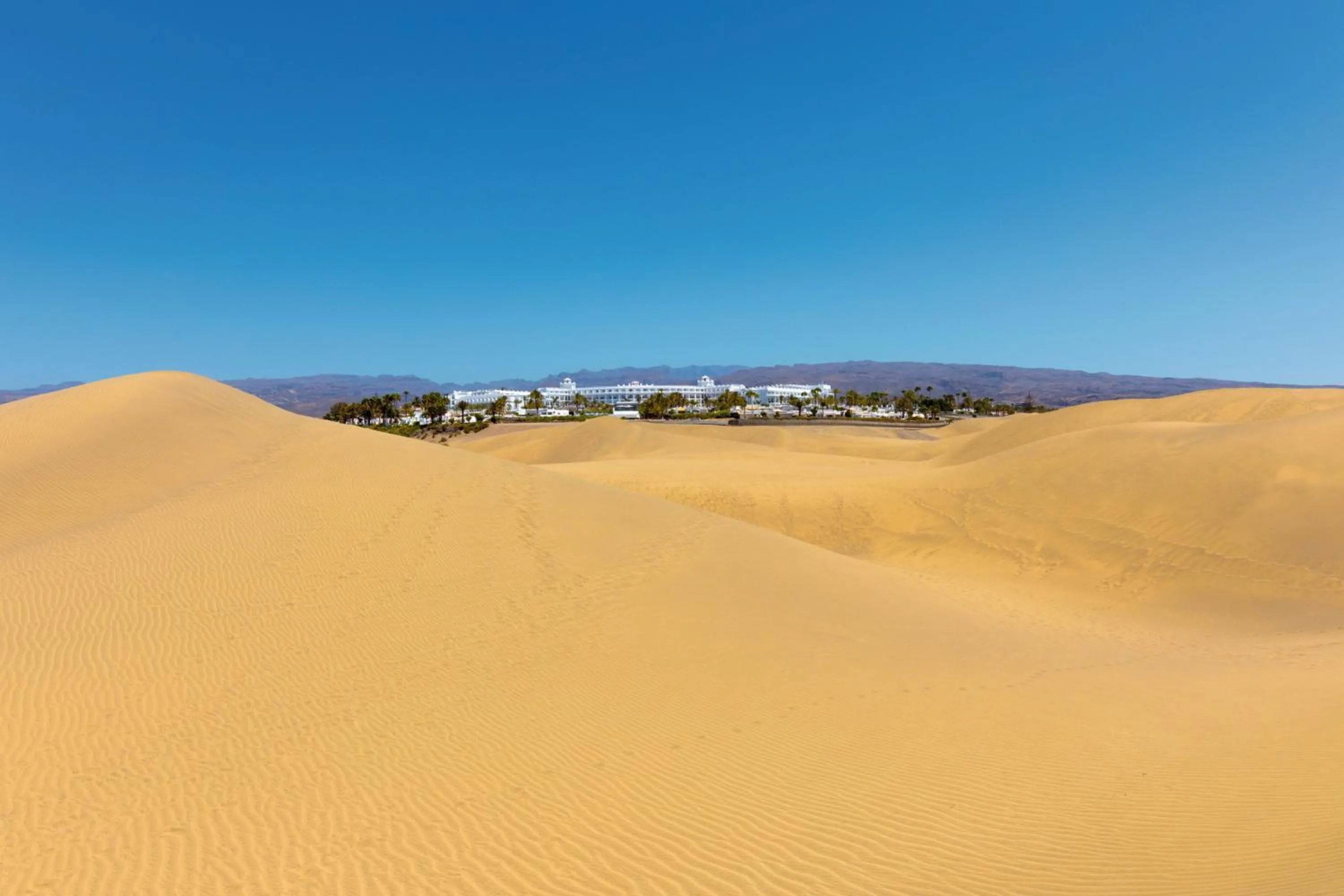 Natural landscape in Hotel Riu Palace Maspalomas - Adults Only