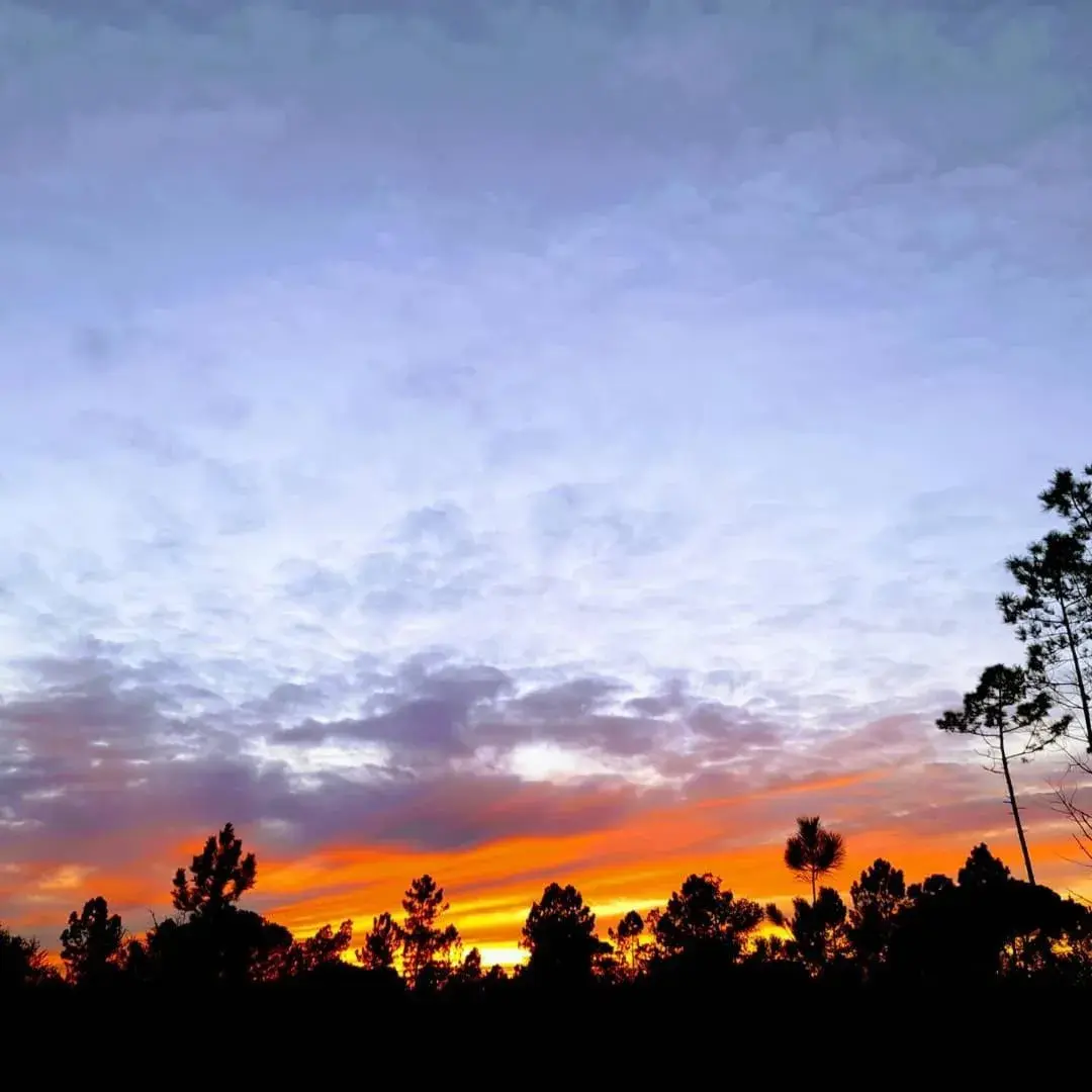 Bird's eye view in Sublime Sun & Van - By Meco Stays Bird's eye view in Sublime Sun & Van - By Meco Stays