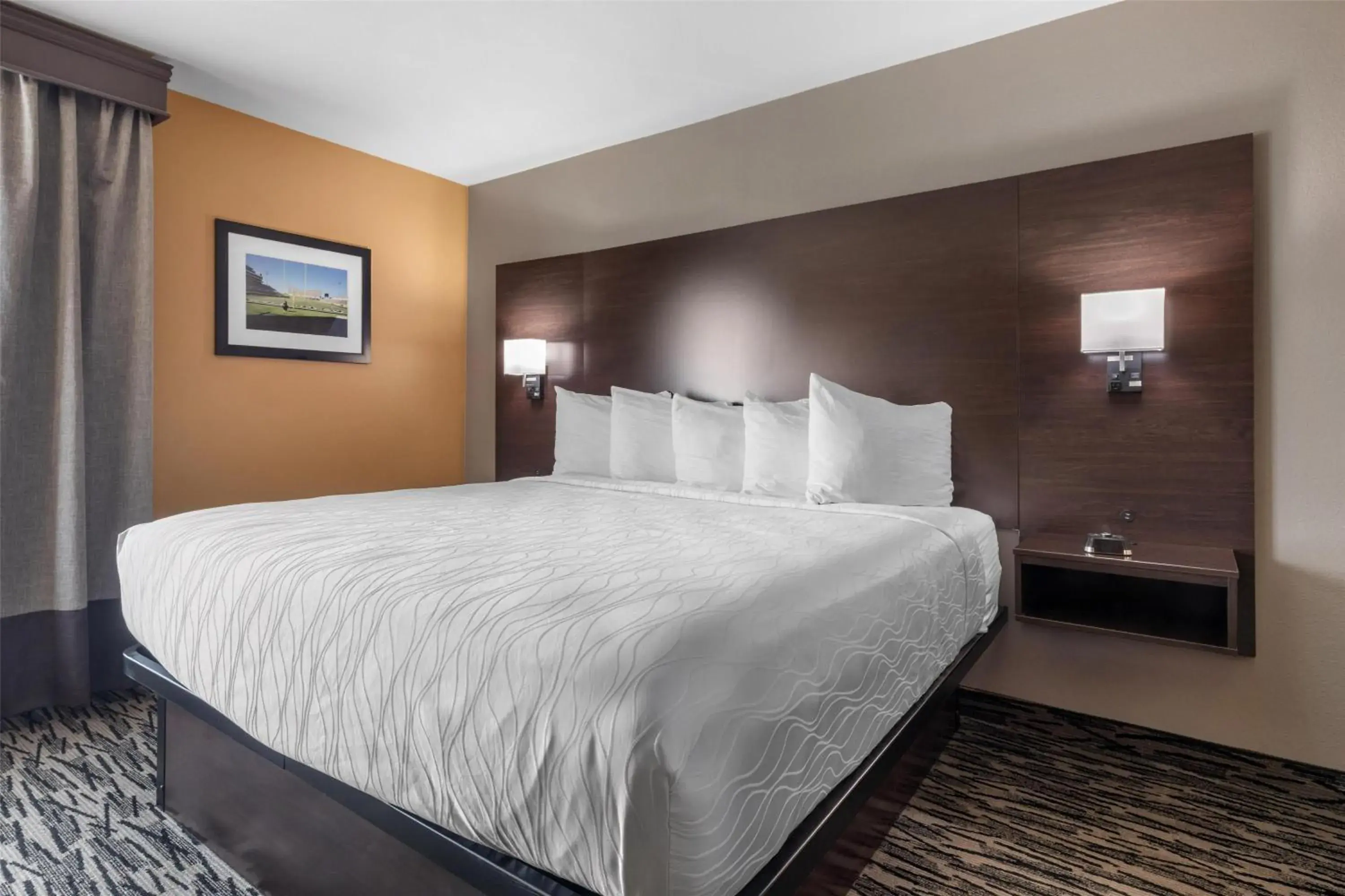 Photo of the whole room, Bed in Best Western Plus Denton Inn & Suites Photo of the whole room, Bed in Best Western Plus Denton Inn & Suites